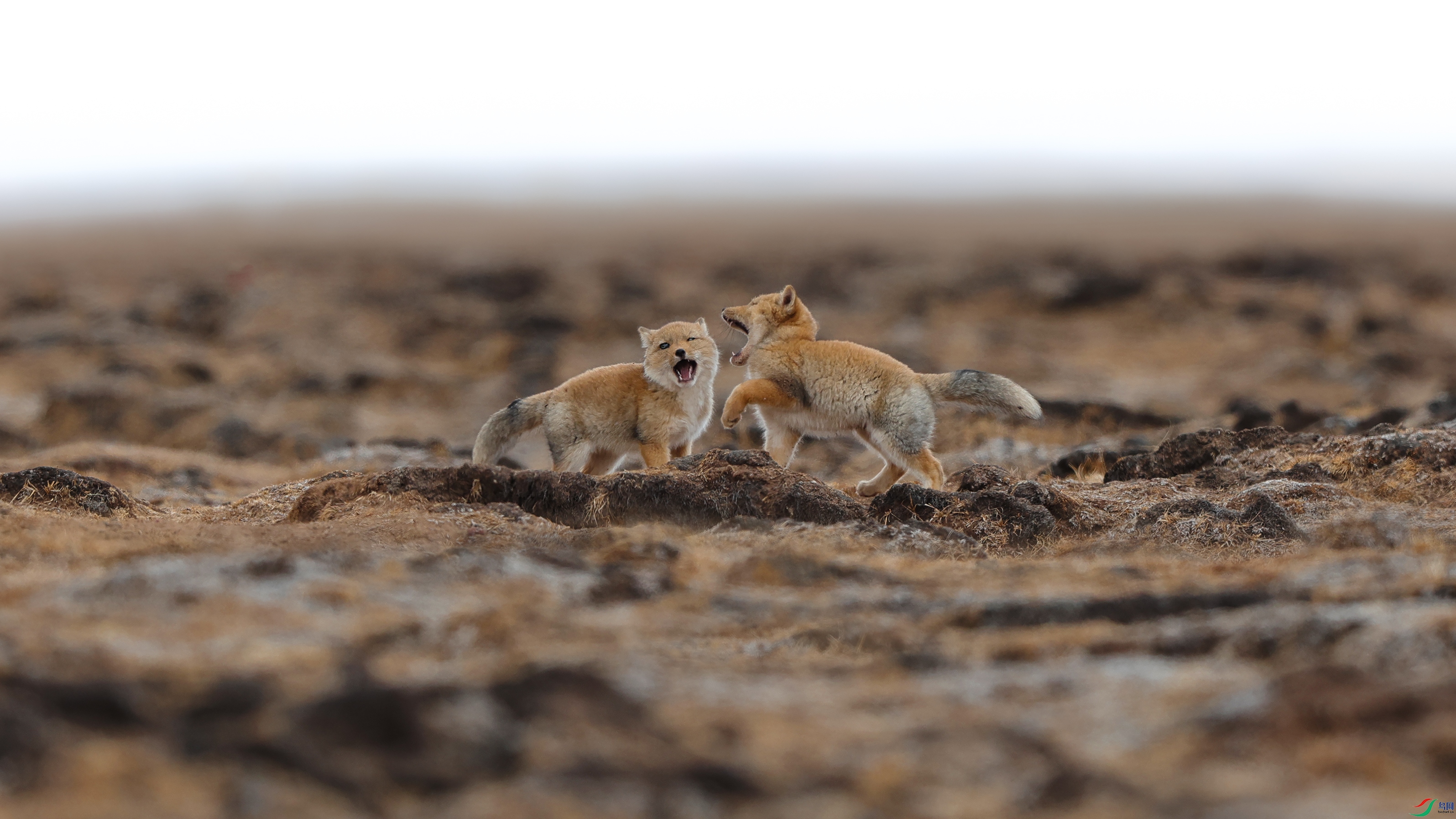 7X5A8235 ����3333.jpg