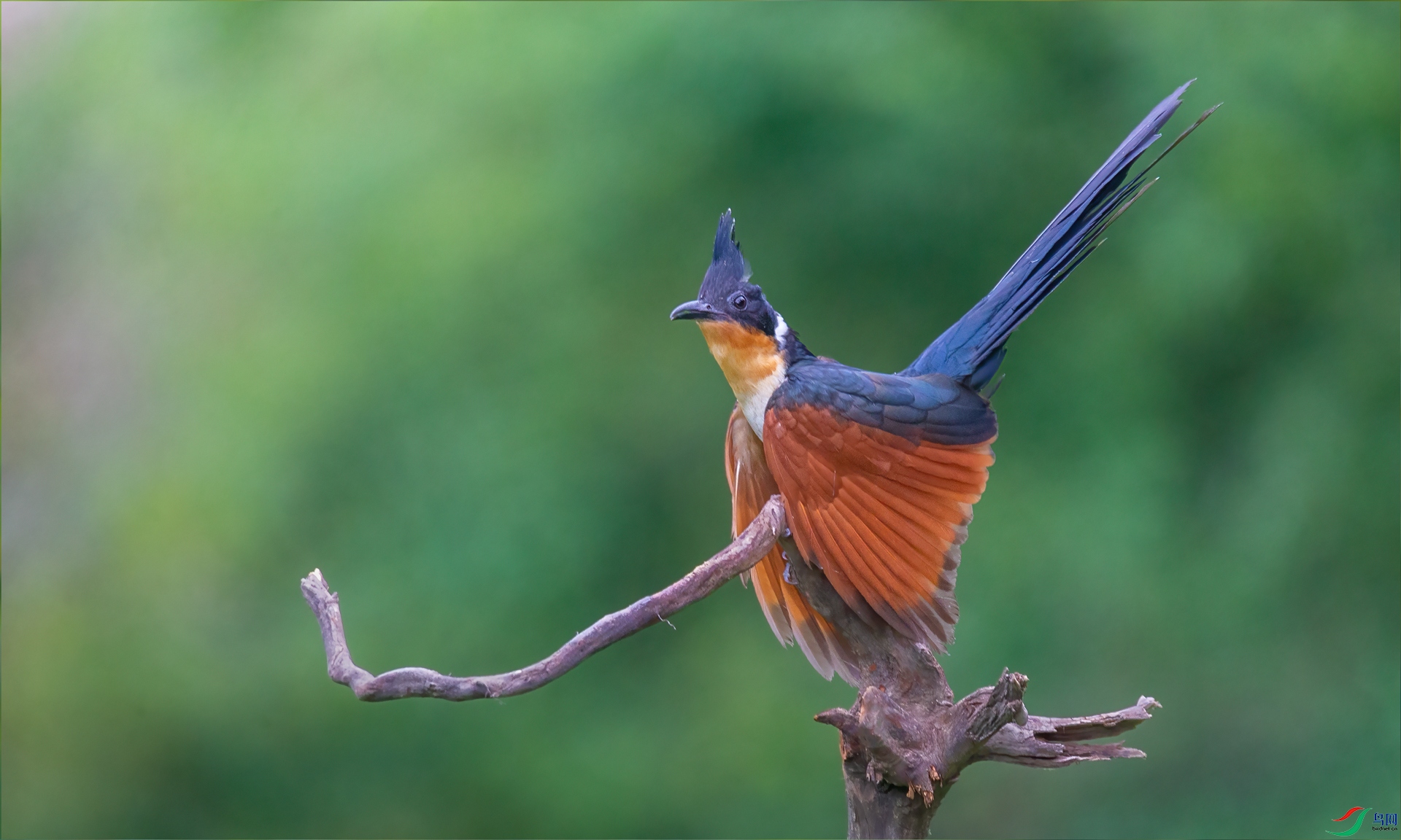 DSC_3452-1.jpg