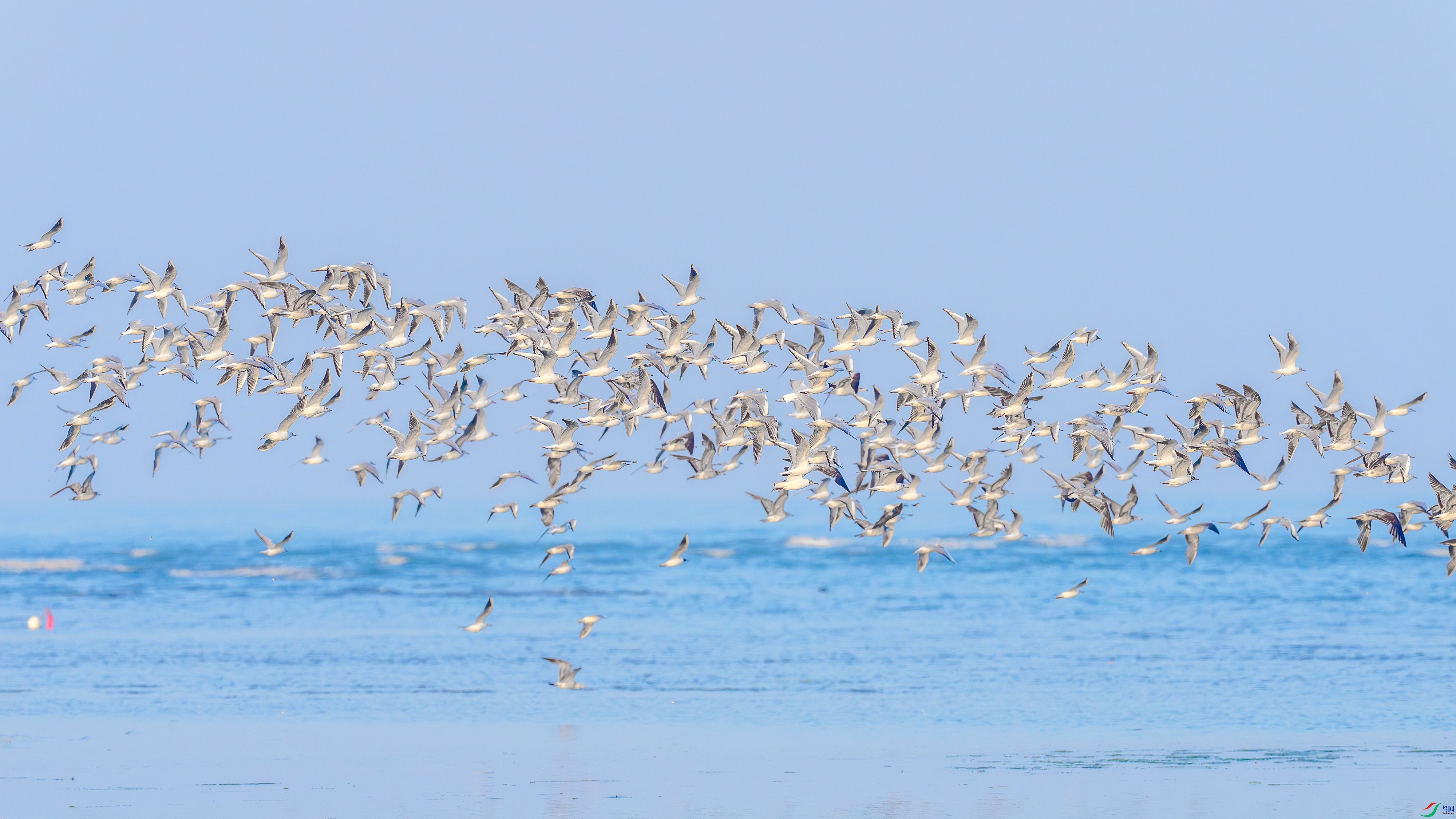 DSC00379-.jpg