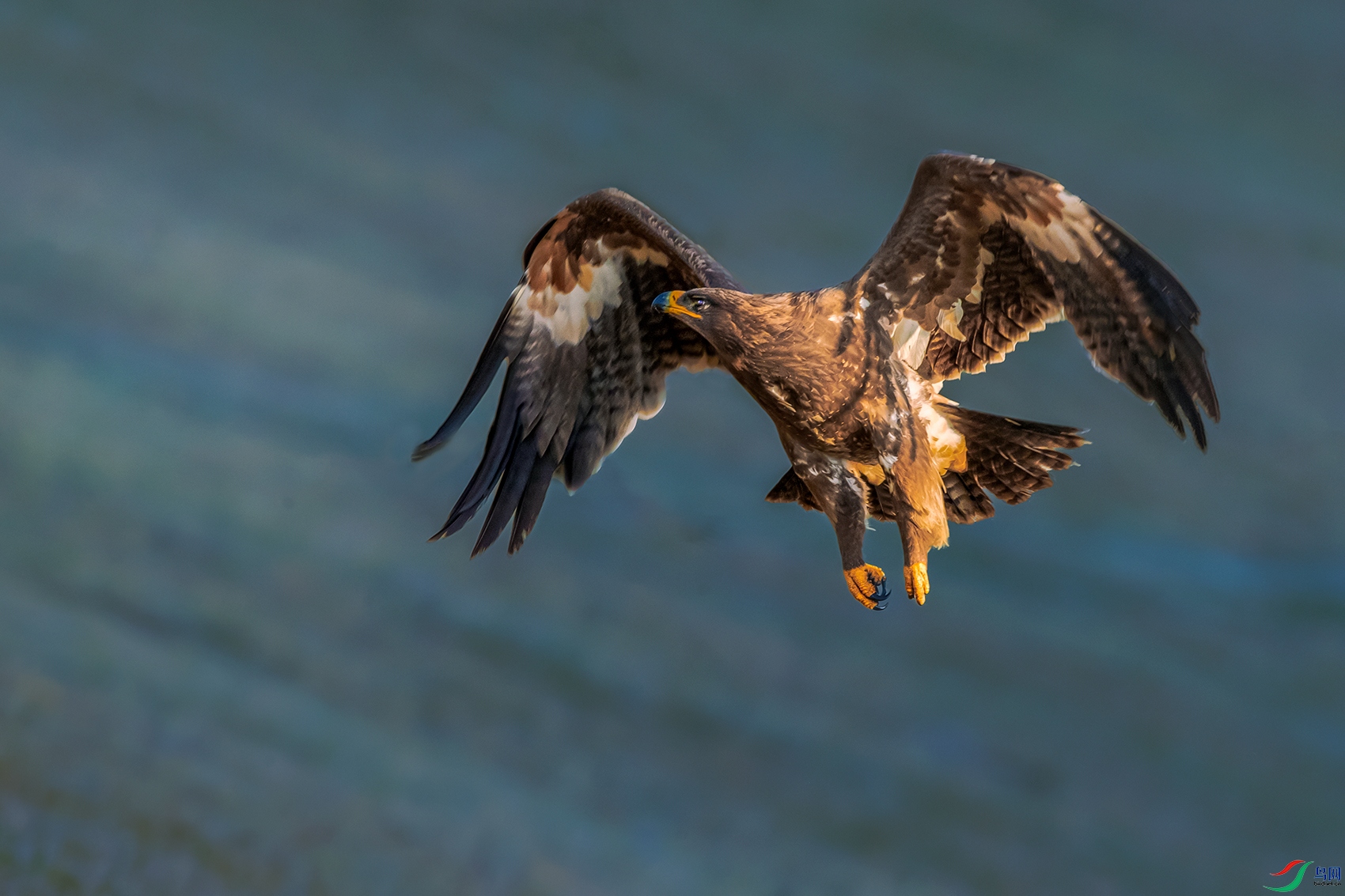 ��ԭ��----˫���ط���