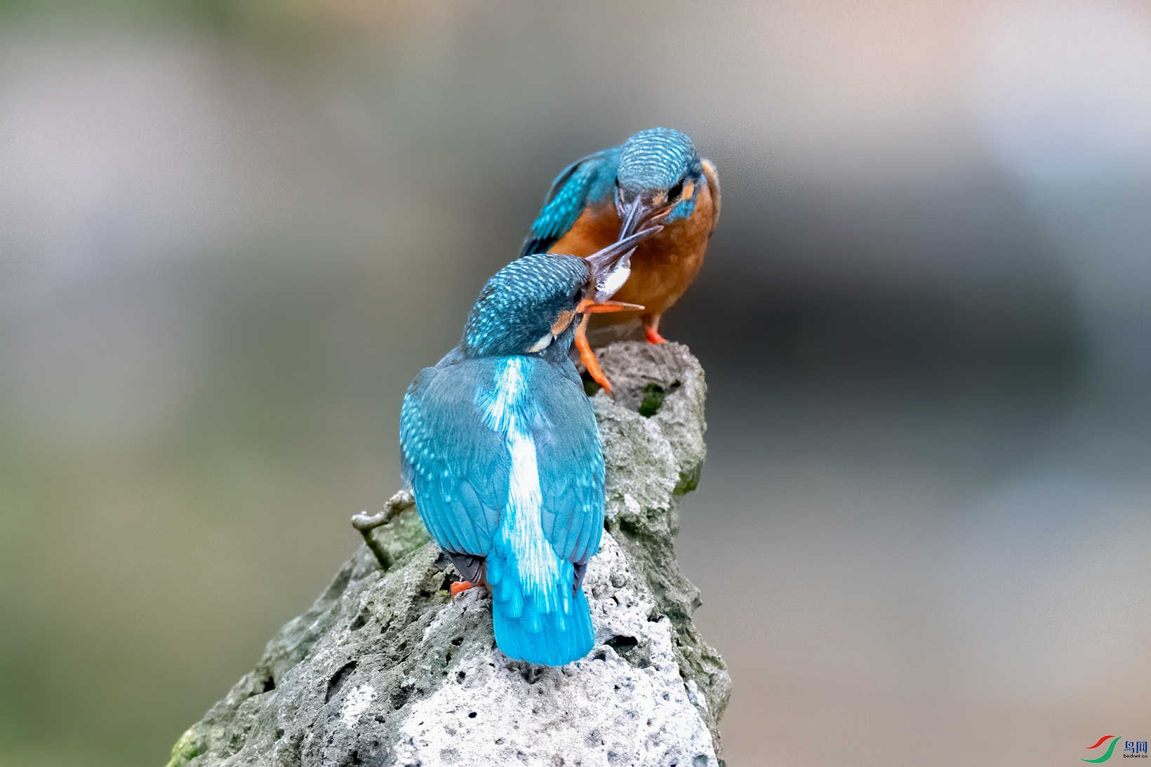 DSC_0647.jpg