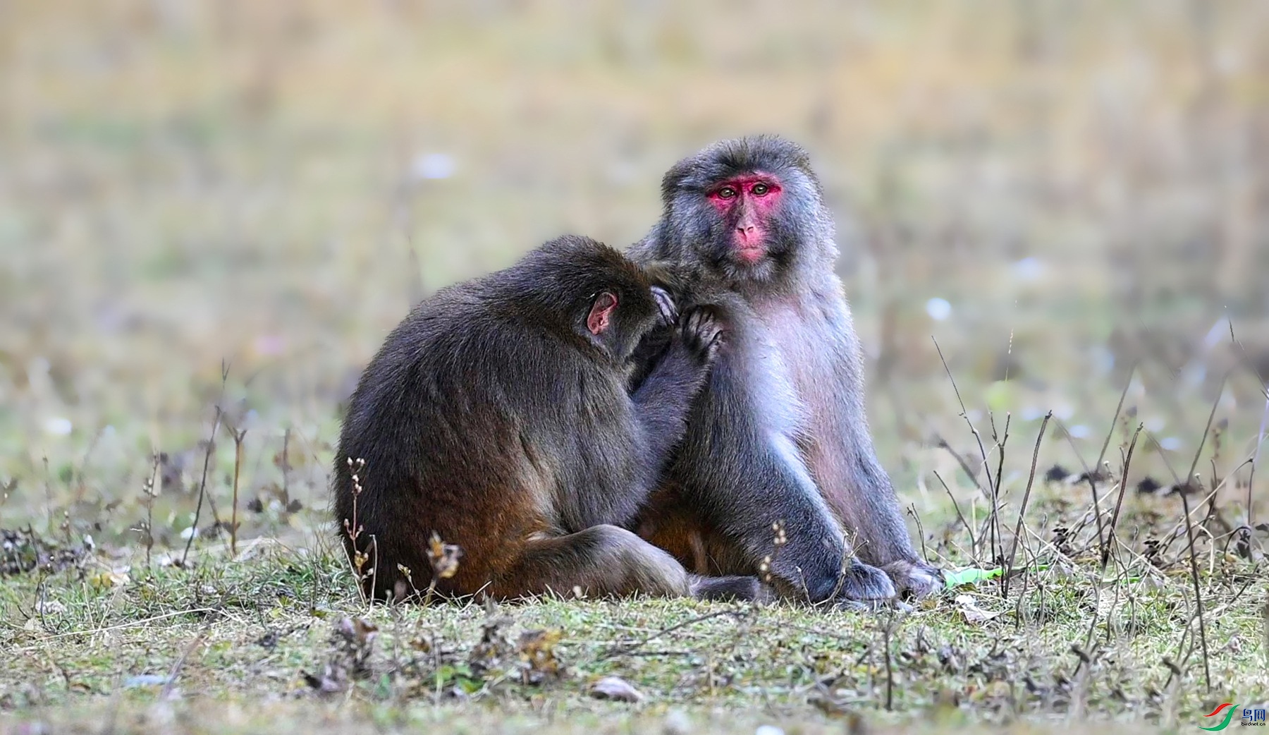 DSC_2354 - frame at 0m15s_����.jpg