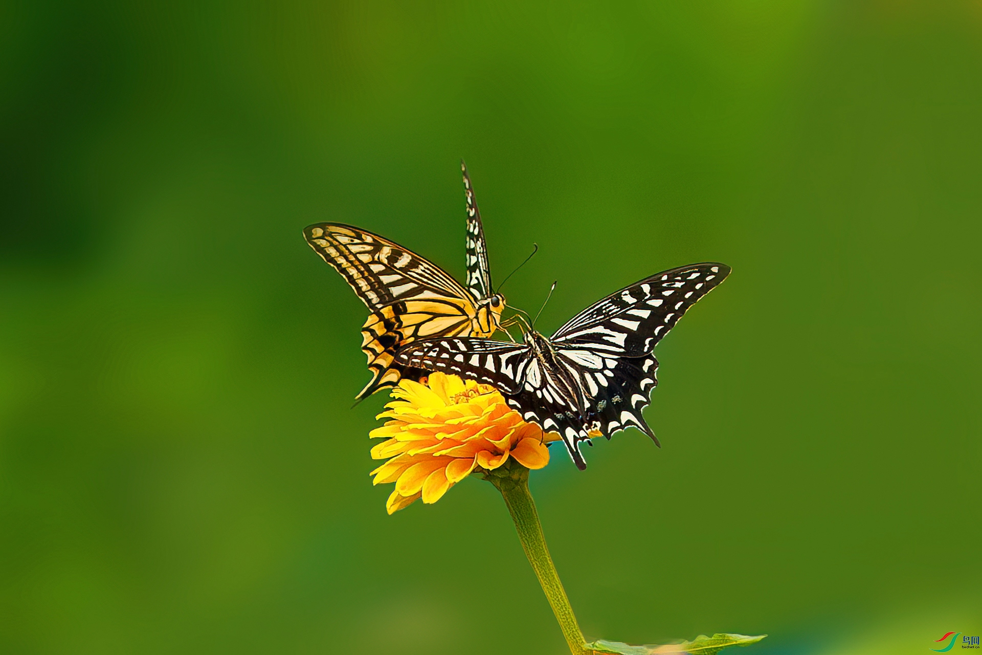 BH8I6490.jpg