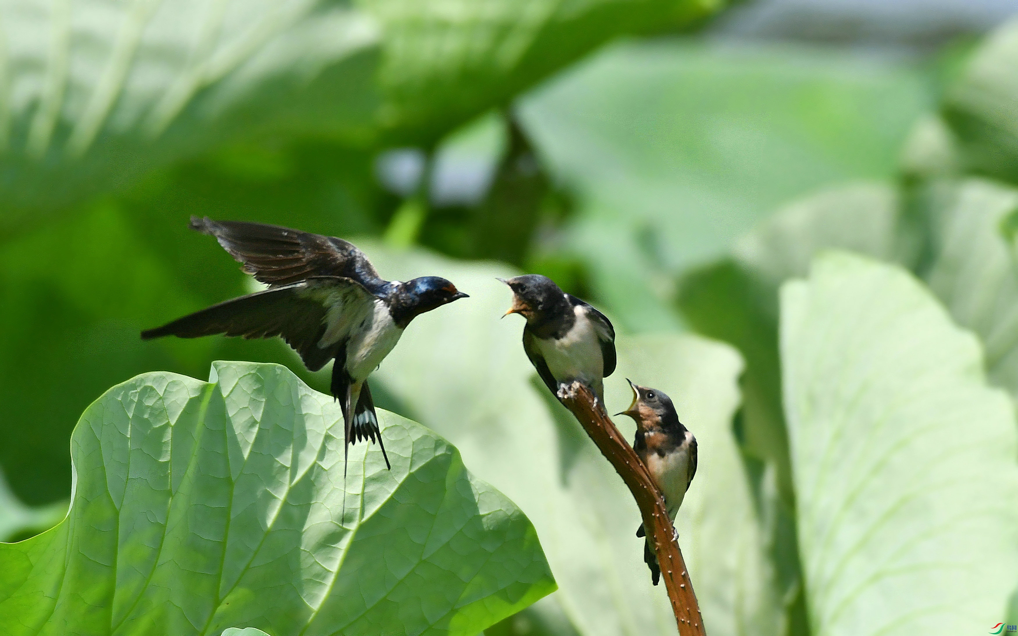 DSC_2492.JPG