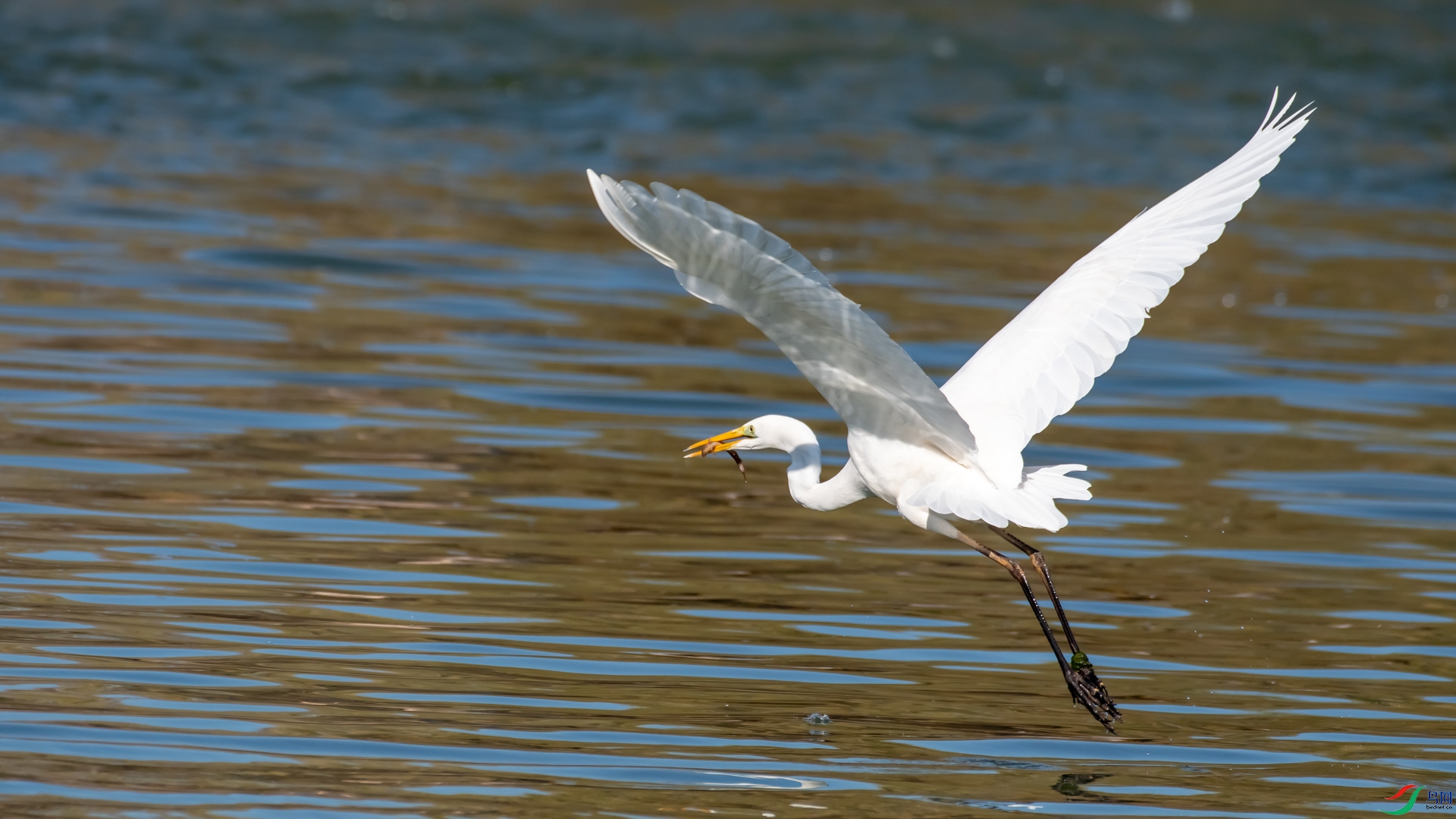 DSC_2349.jpg