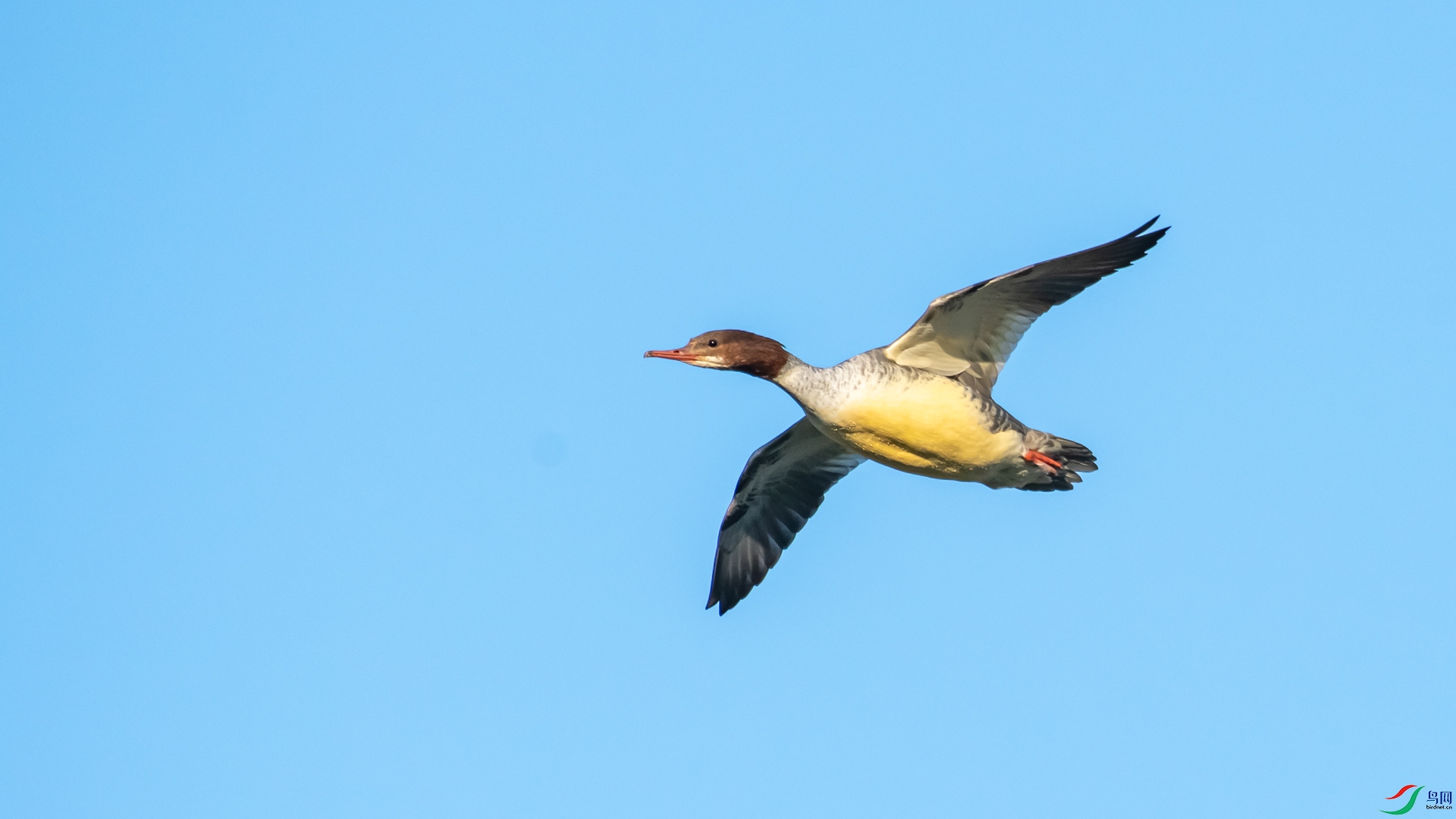 DSC_2724.jpg