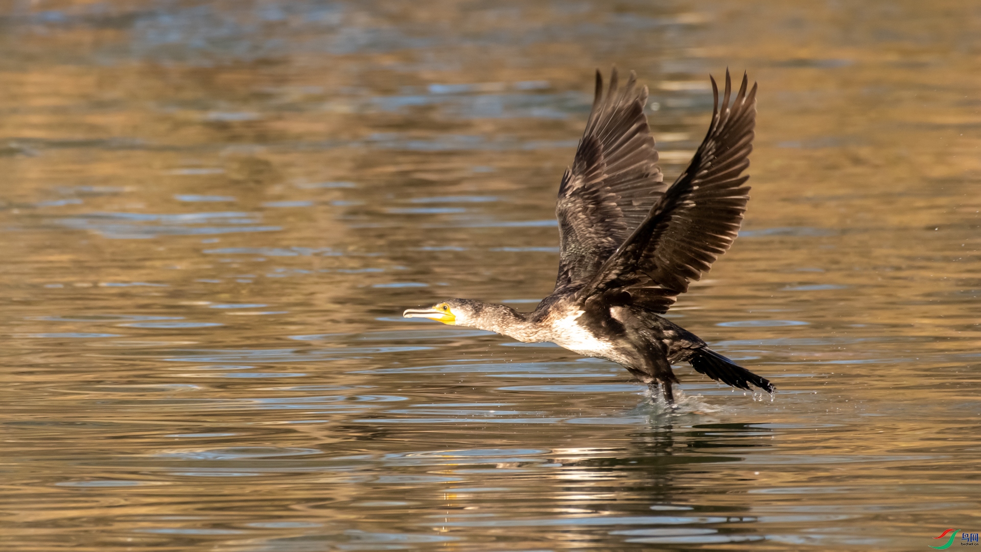 DSC_2846.jpg