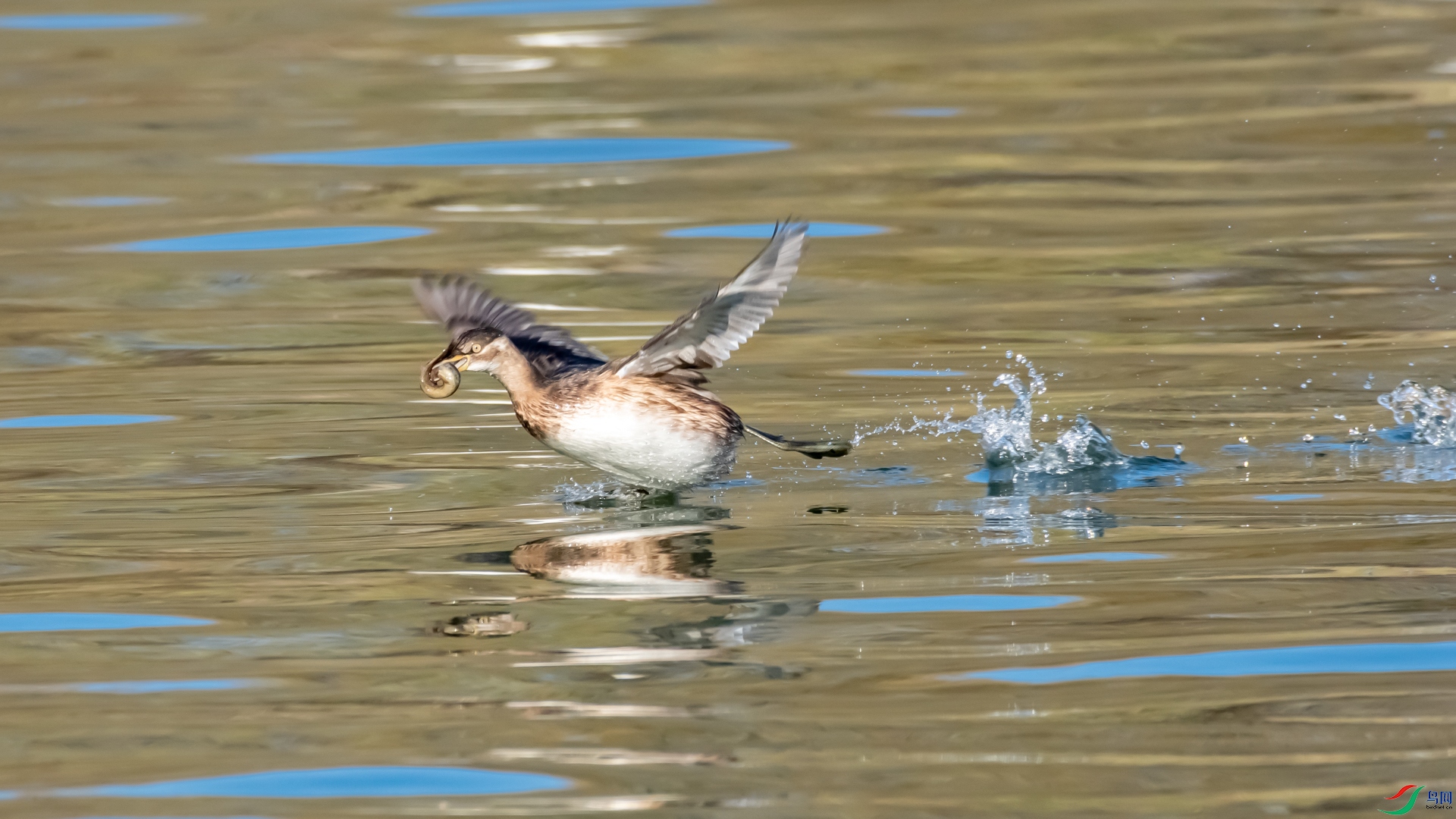 DSC_2913.jpg