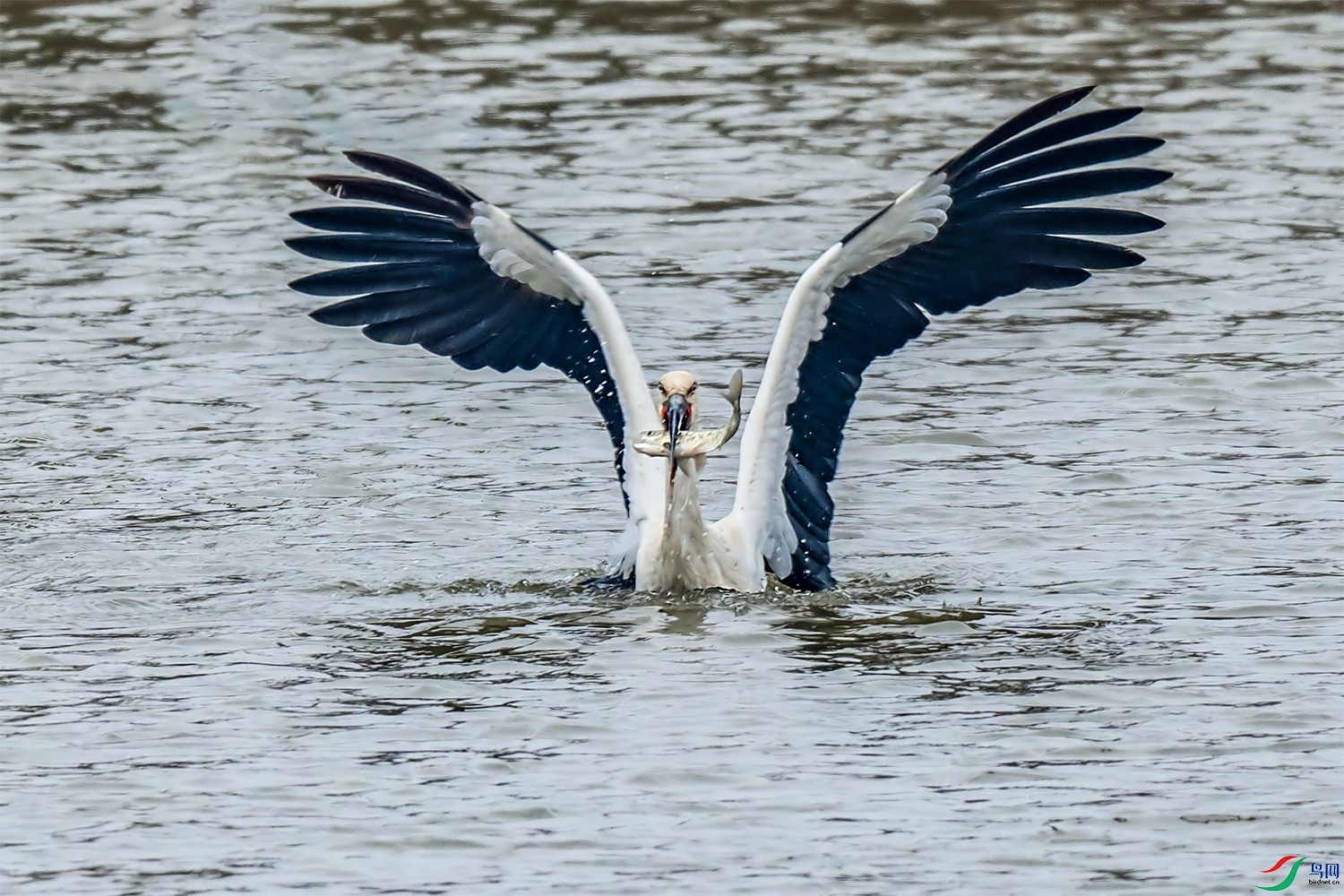 DSC_8301.jpg