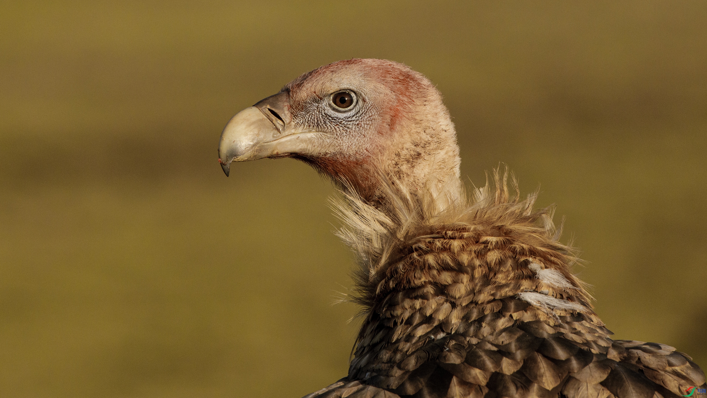 000A9883 ����88.jpg