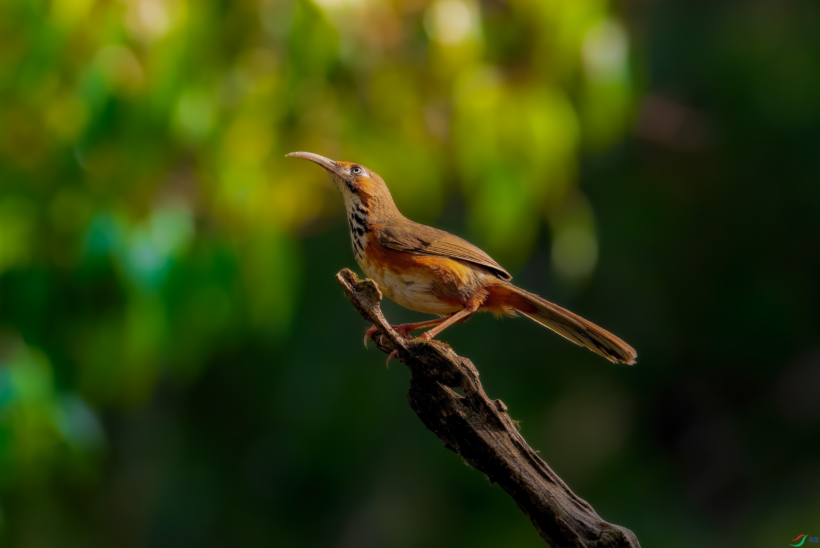 _DSC3618-NEF.jpg