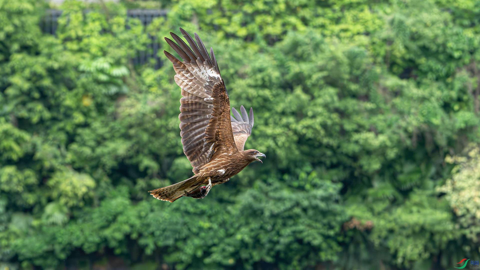 DSC_6006.jpg