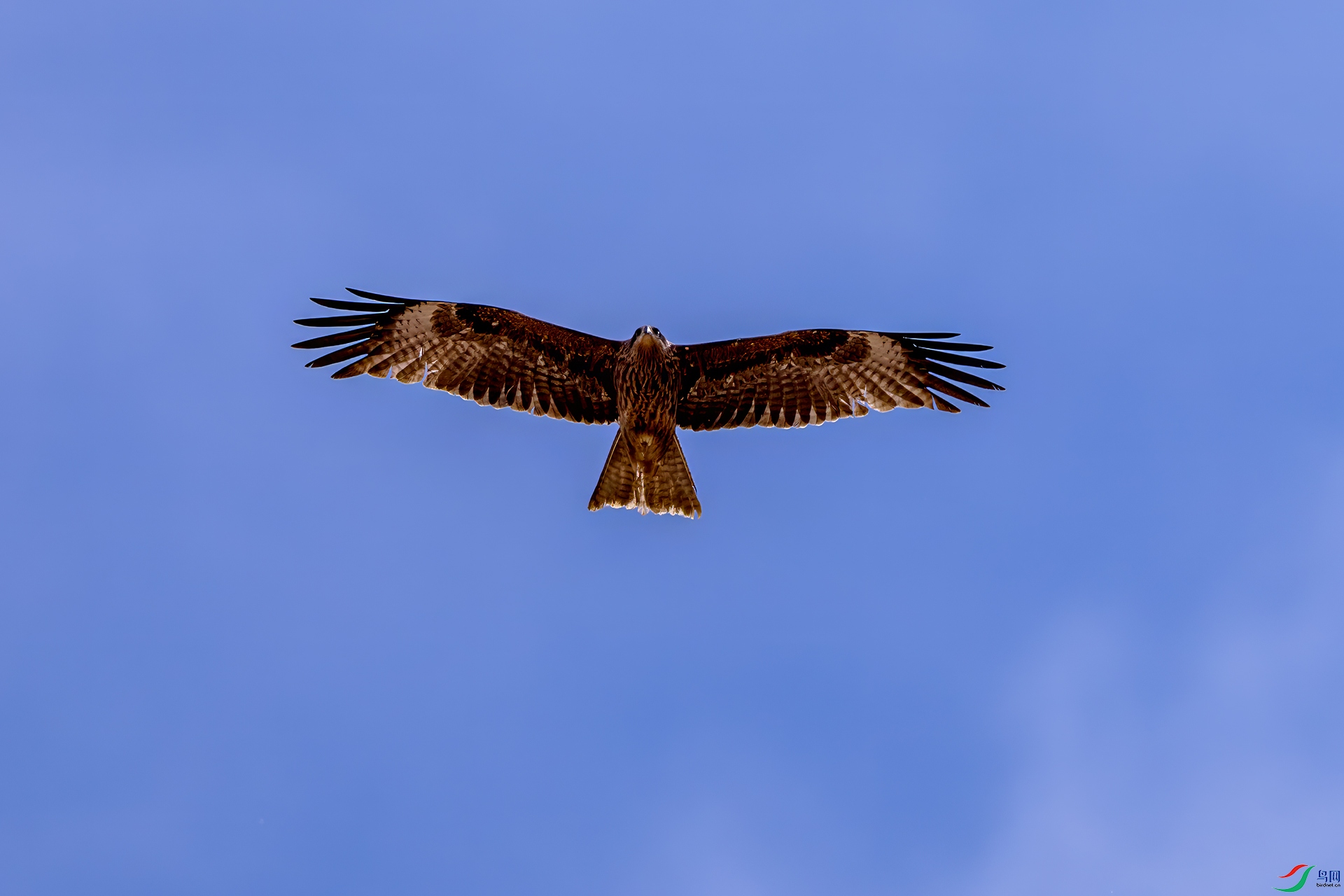 063A5420 ����.jpg