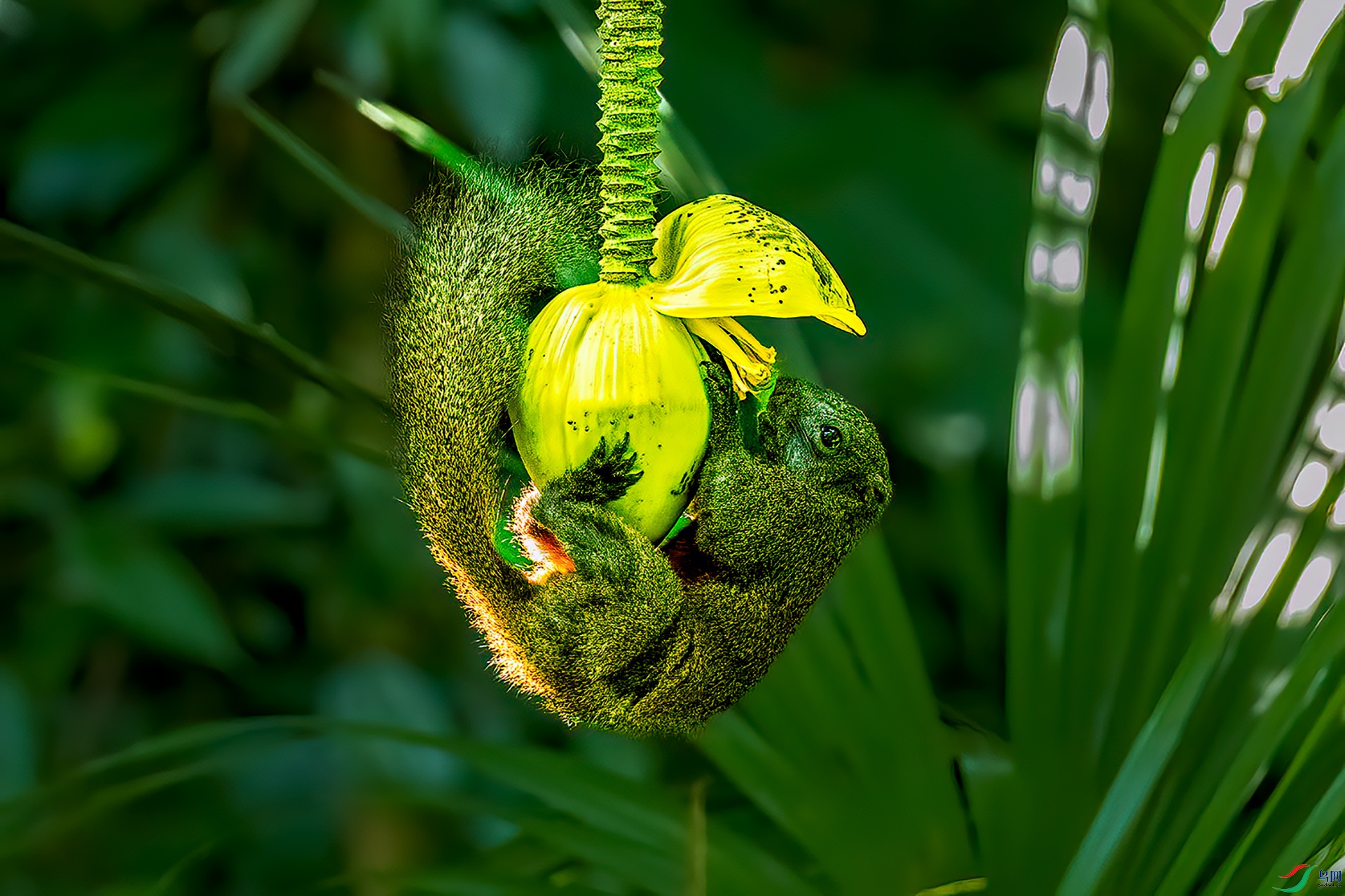P7290272-�ู����.jpg