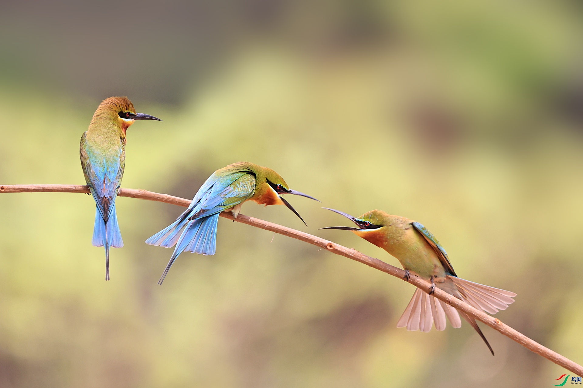 5F7A4686 -q.jpg