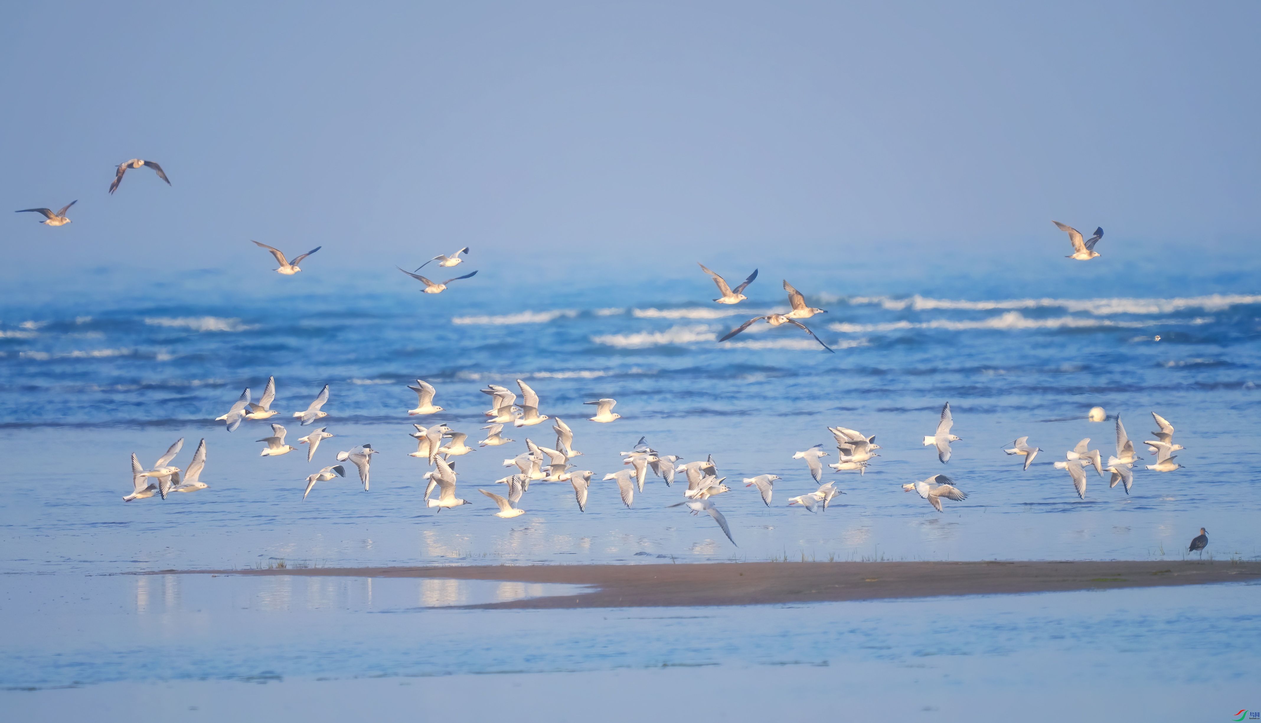 DSC02220 ����.jpg