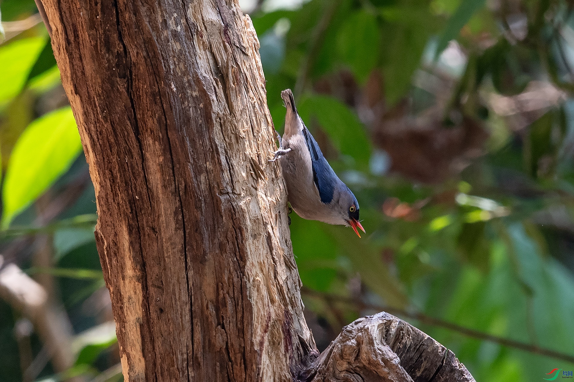 DSC_6127.jpg