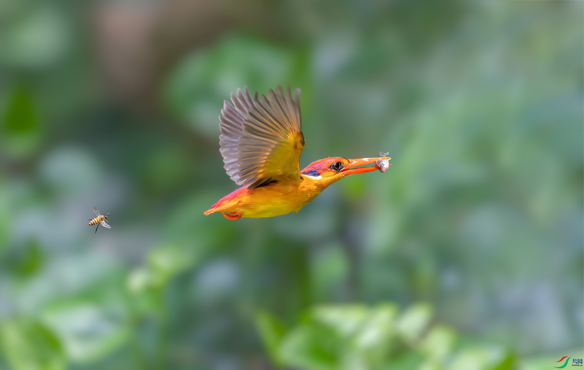 049A7729.1.jpg