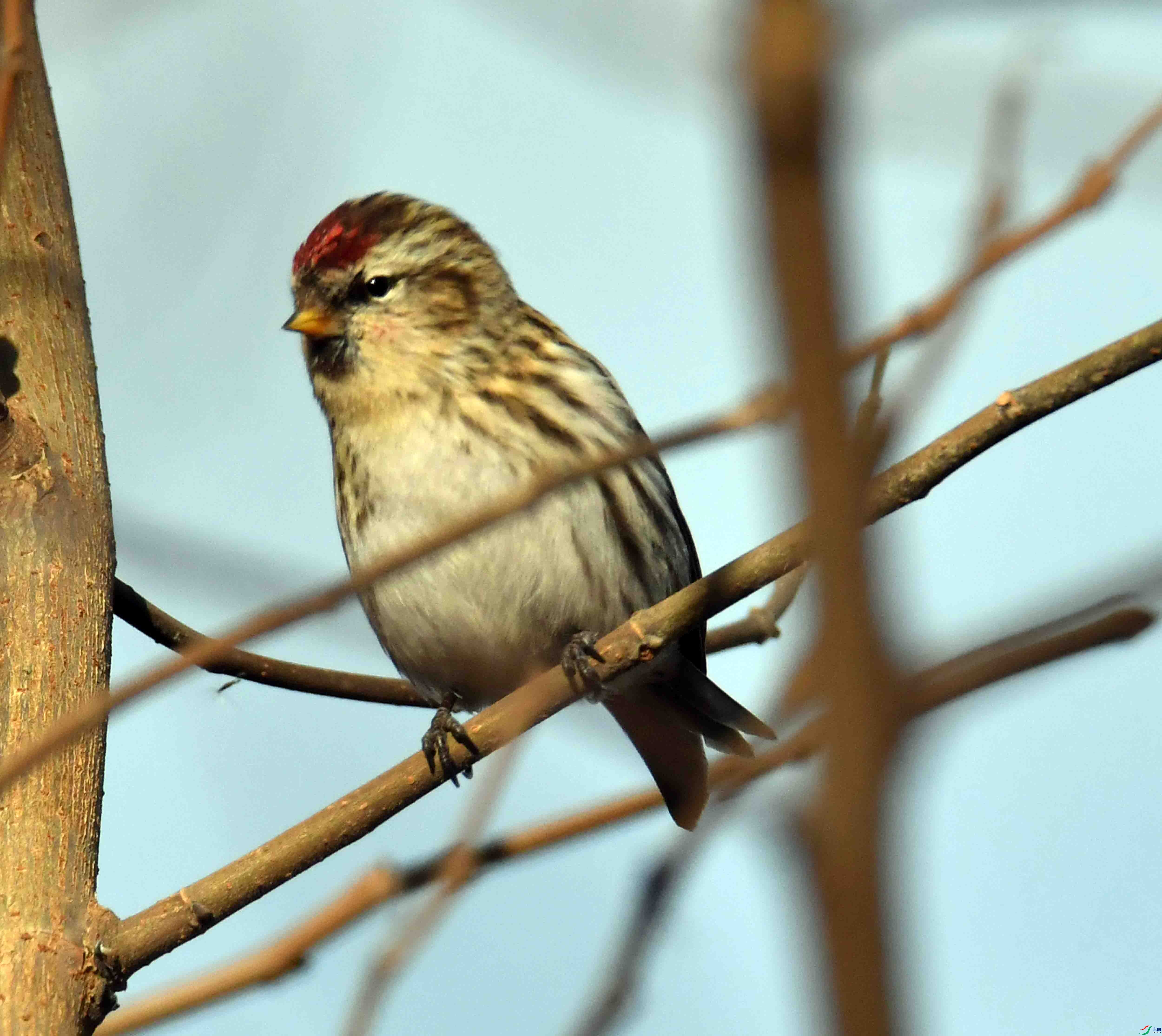 DSC_5903.JPG