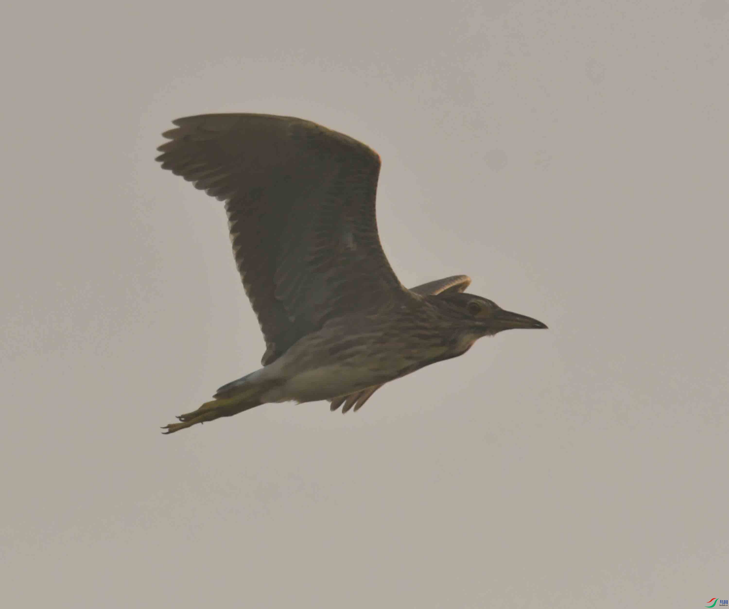DSC_2746.JPG