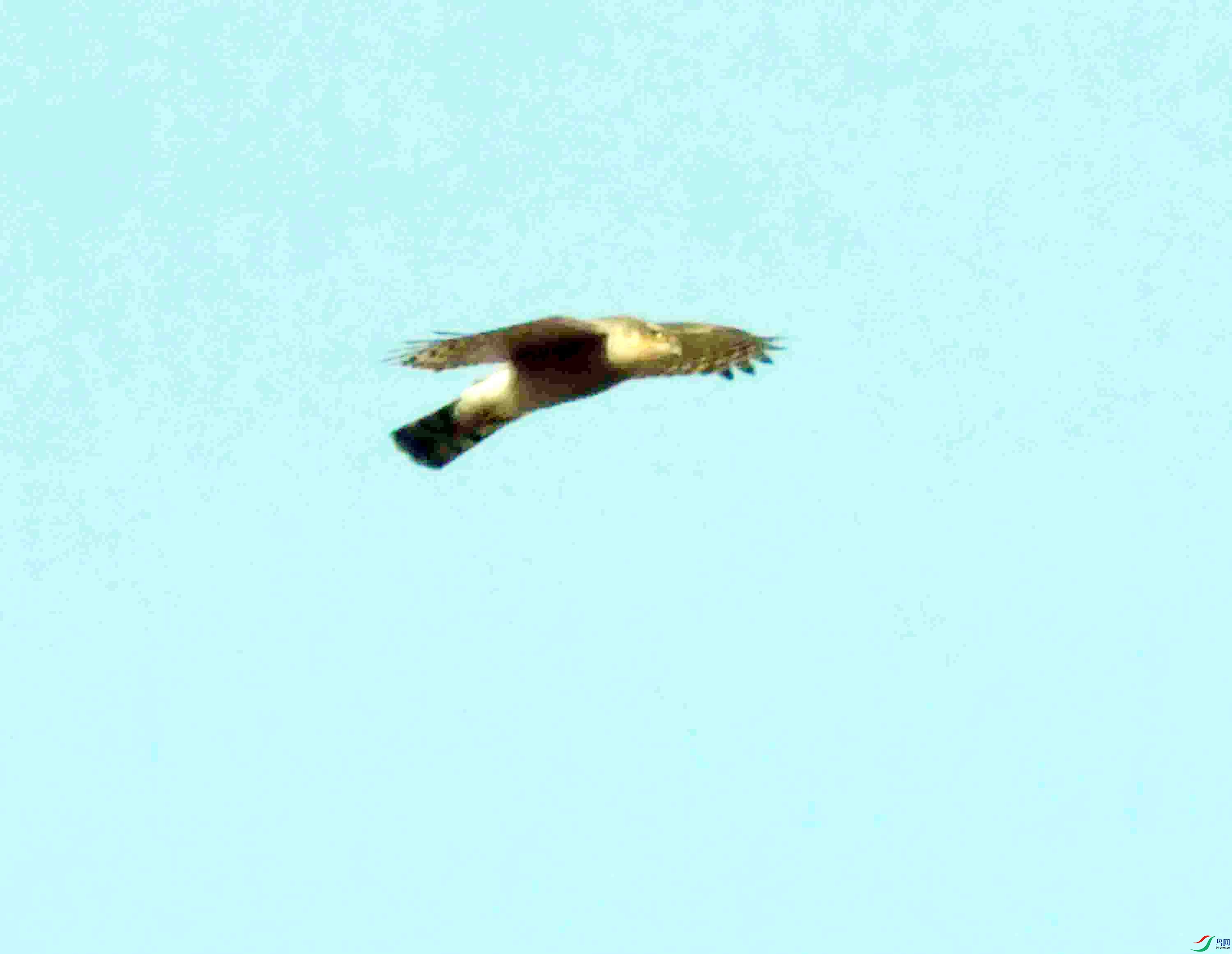 DSC_1561.JPG
