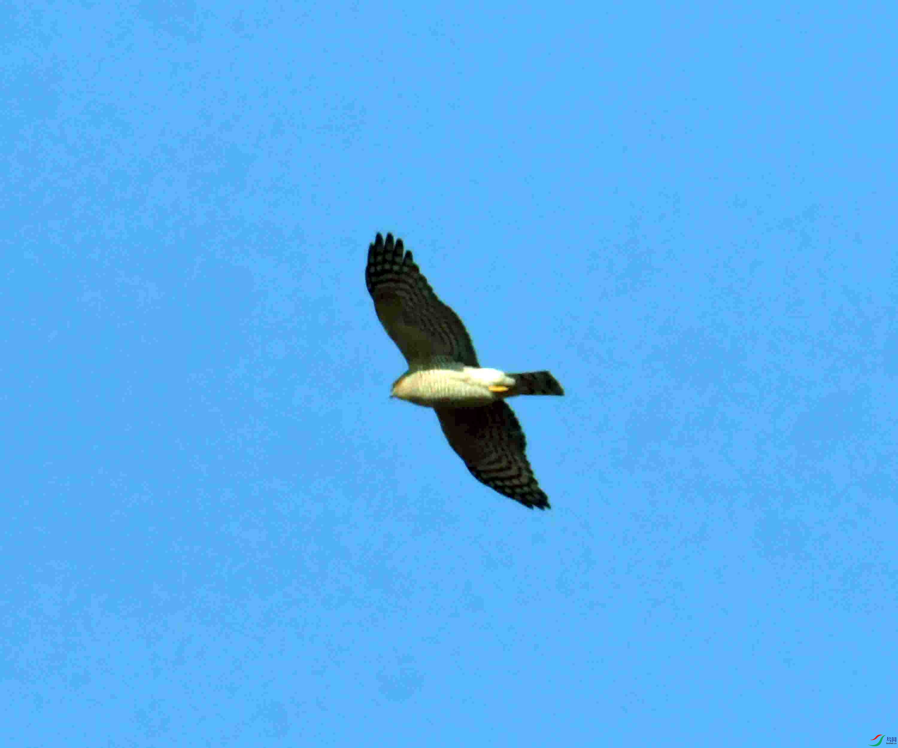 DSC_1556.JPG