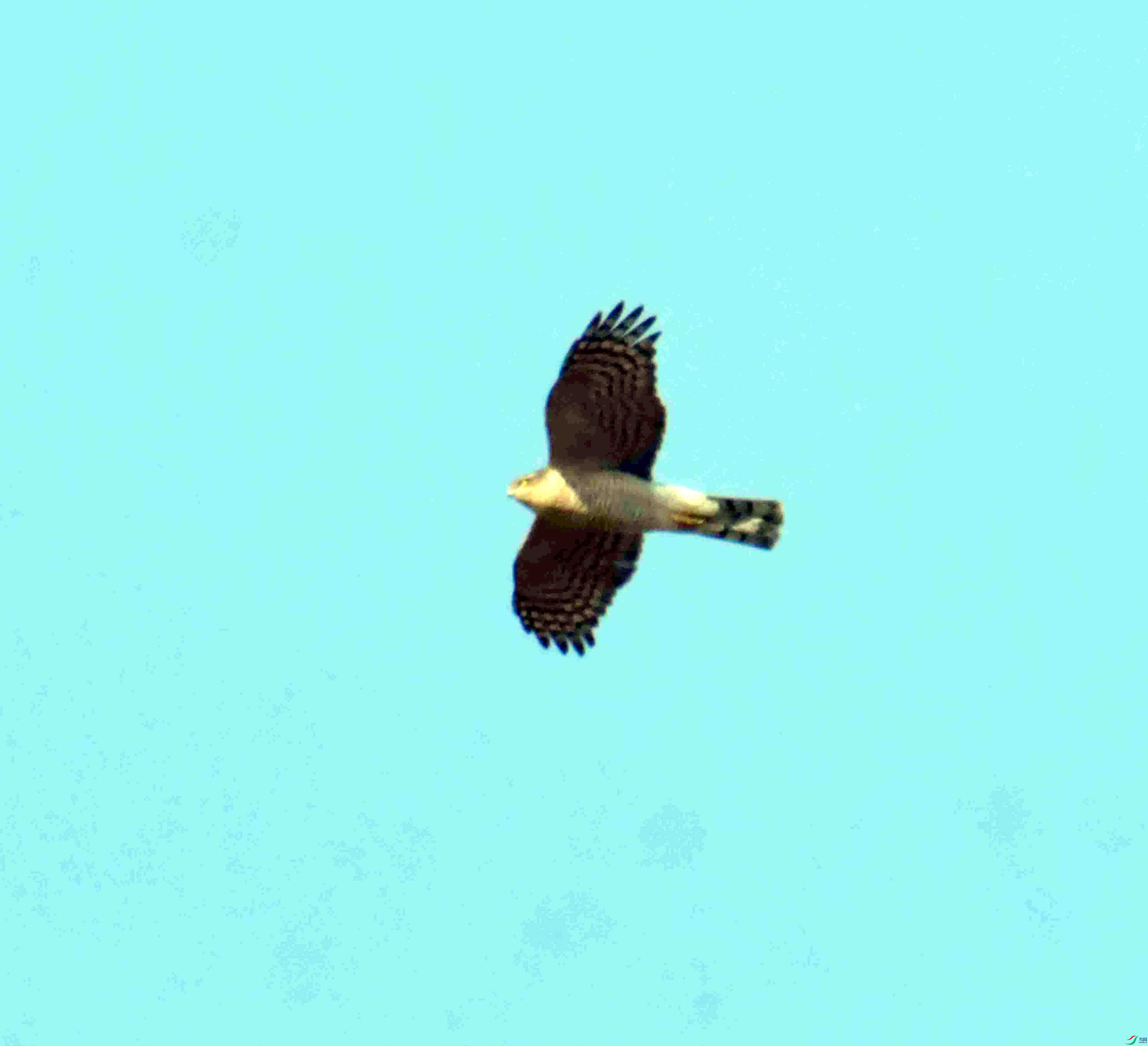 DSC_1570.JPG