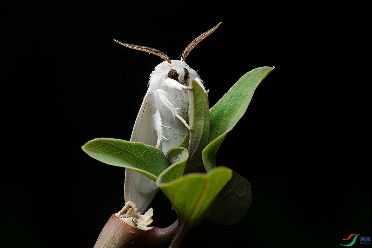 DSC_9722--.jpg