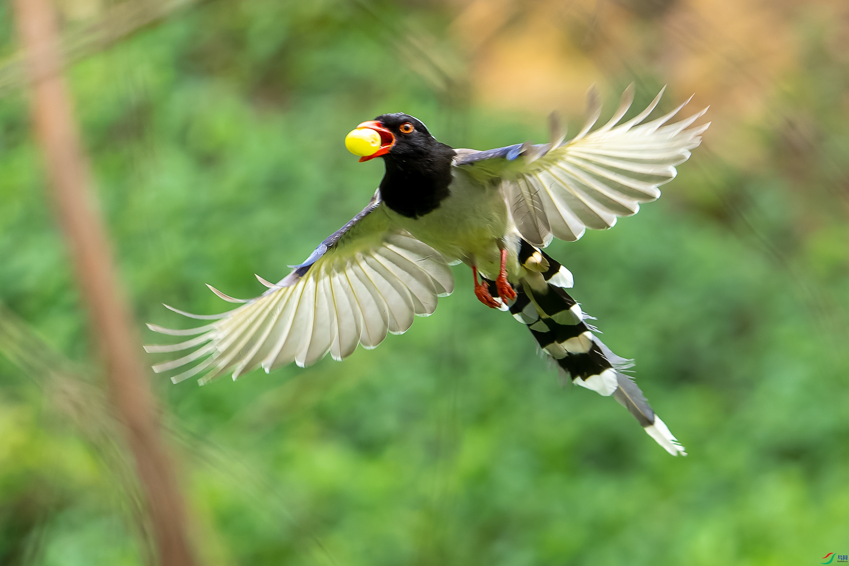 DSC05823-1.jpg