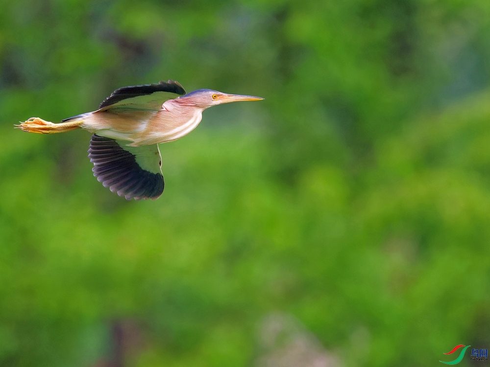 P5290085_DxO-1 - ����.jpg