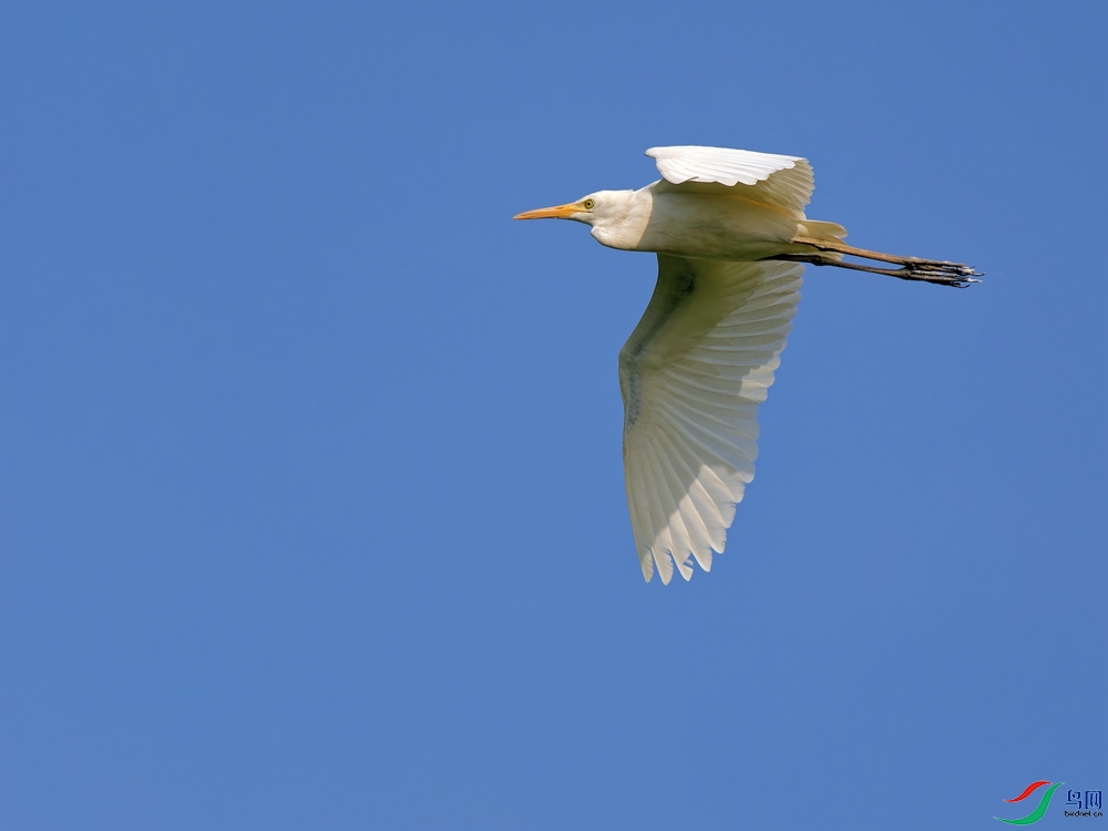 P5290672_DxO - ����.jpg