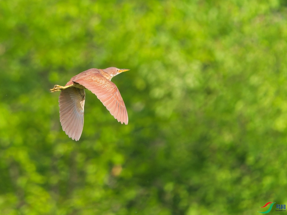 P5310779_DxO - ����.jpg