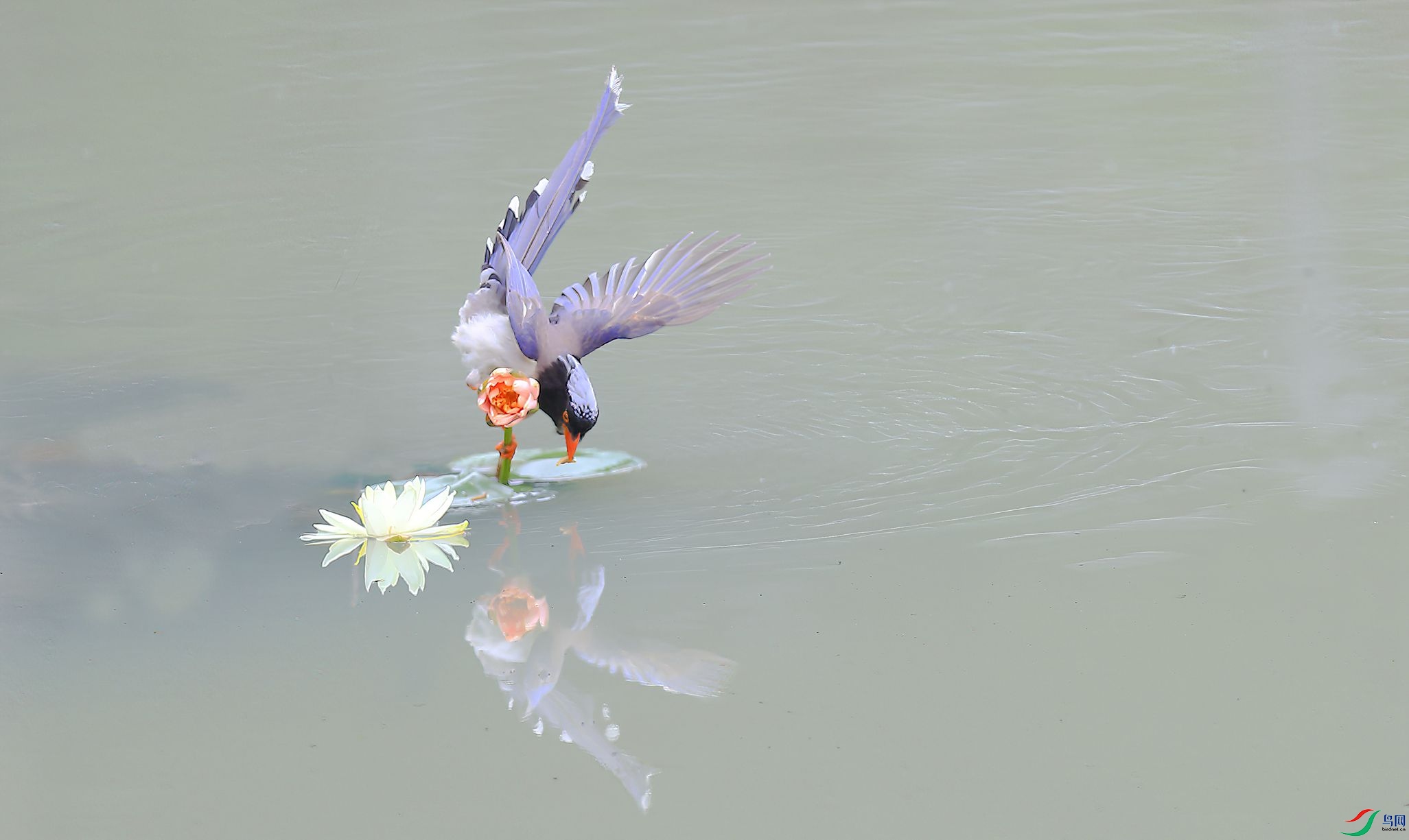 B43I6529-SharpenAI-Motion.jpg