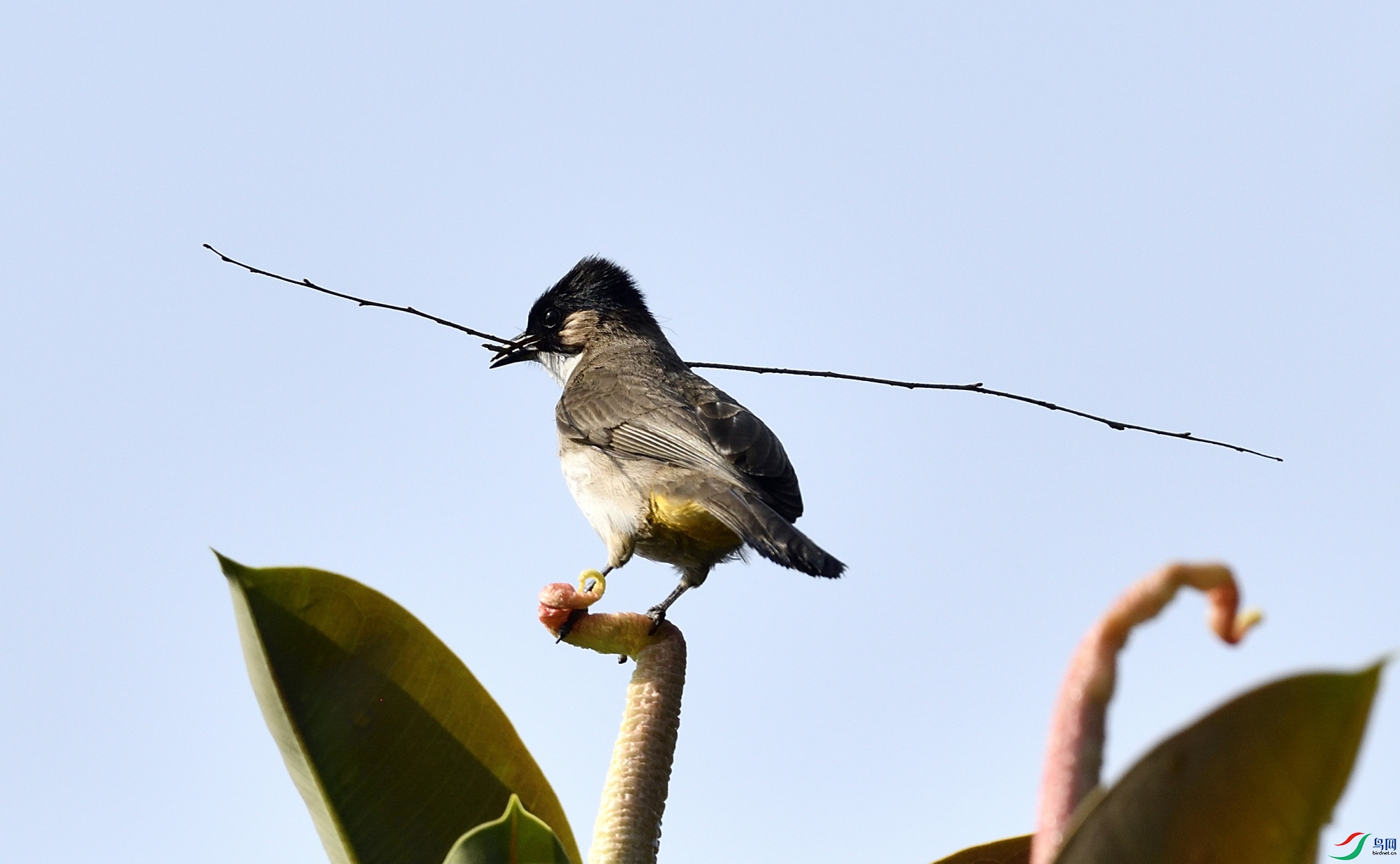 _DSC6560_01_01.JPG