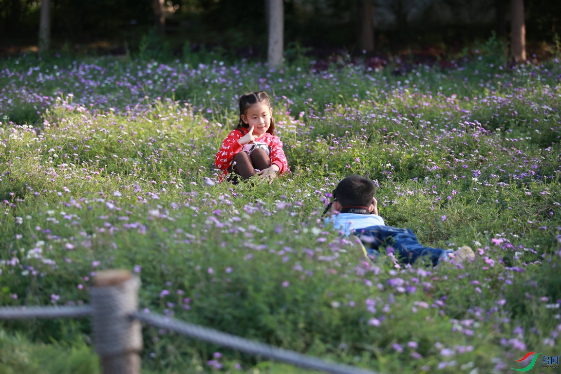 BG3A6789_����.JPG