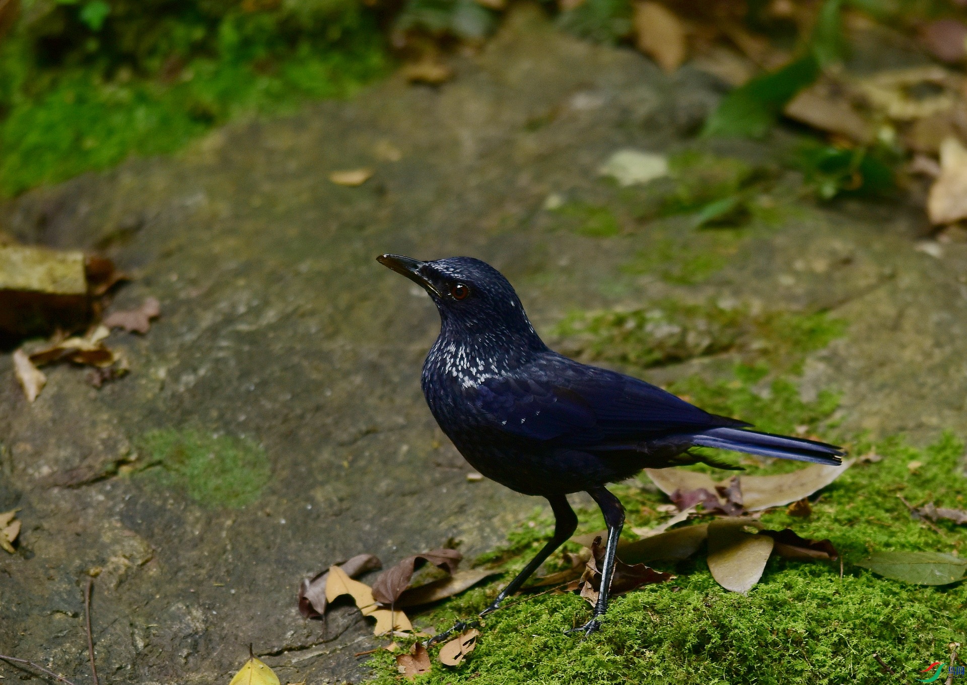 D8I_0513.jpg