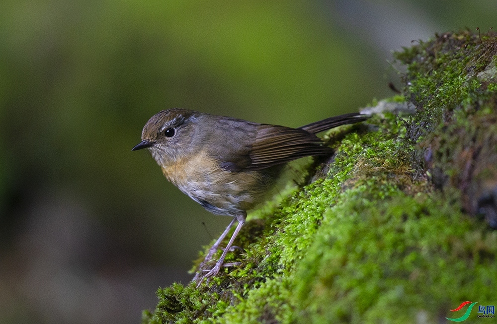 ��ü��� (2).jpg