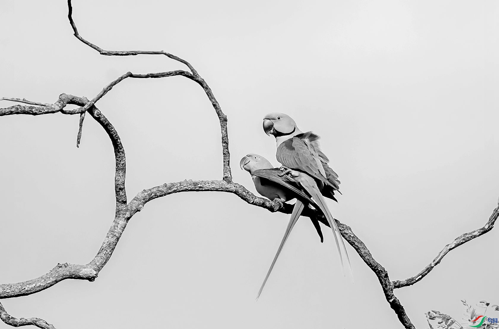 AC3I3608 ����_����.jpg