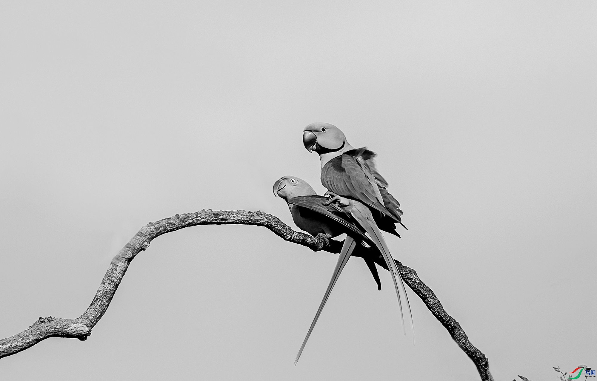 AC3I3607 ����_����.jpg