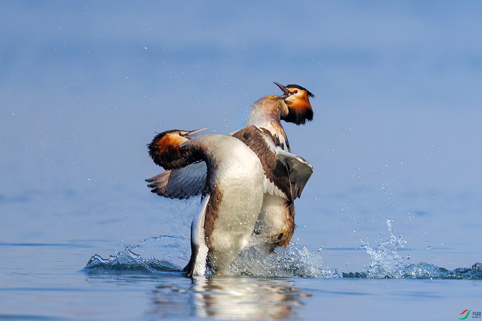 BH8I9942 ����.jpg