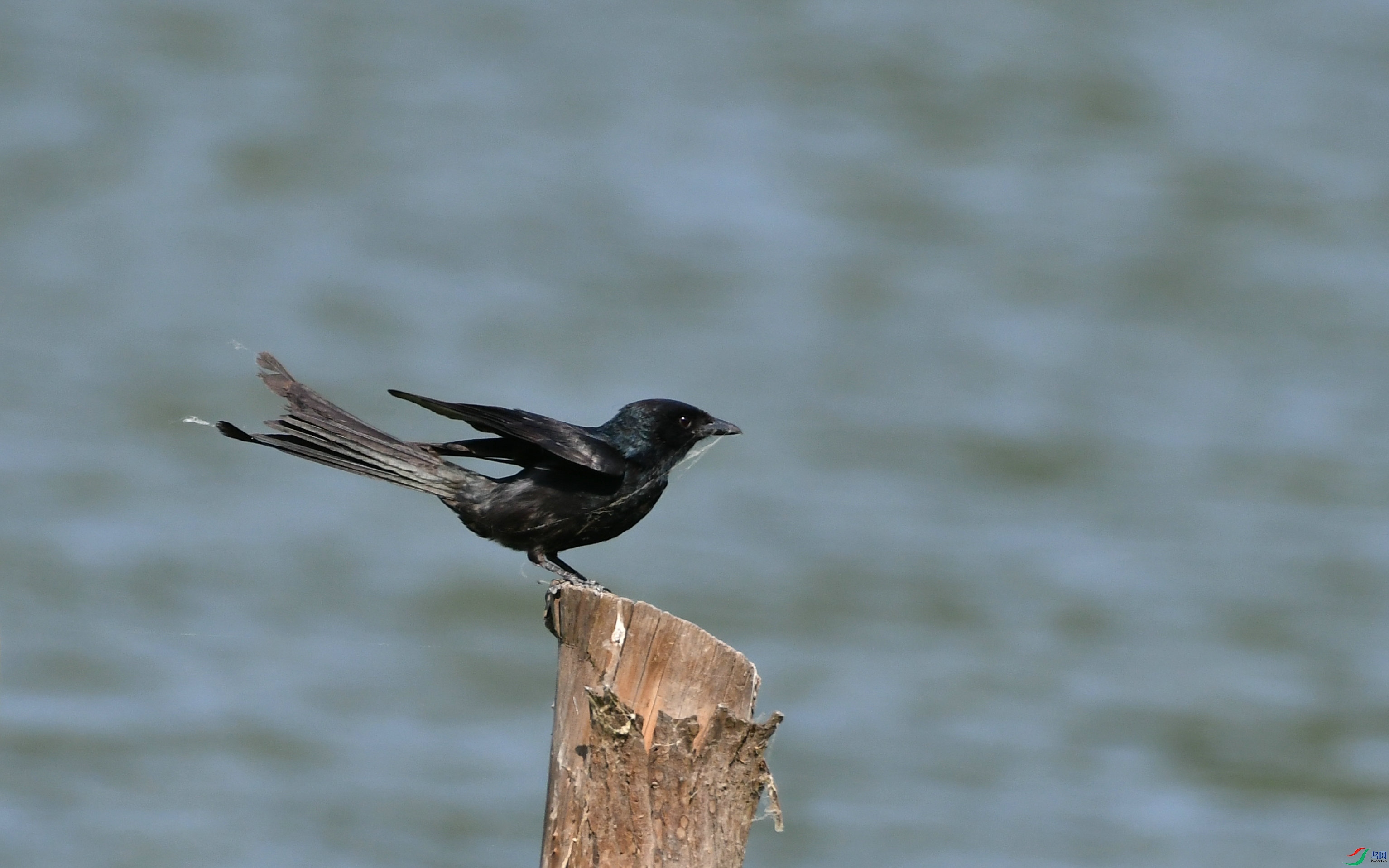 DSC_2180.JPG