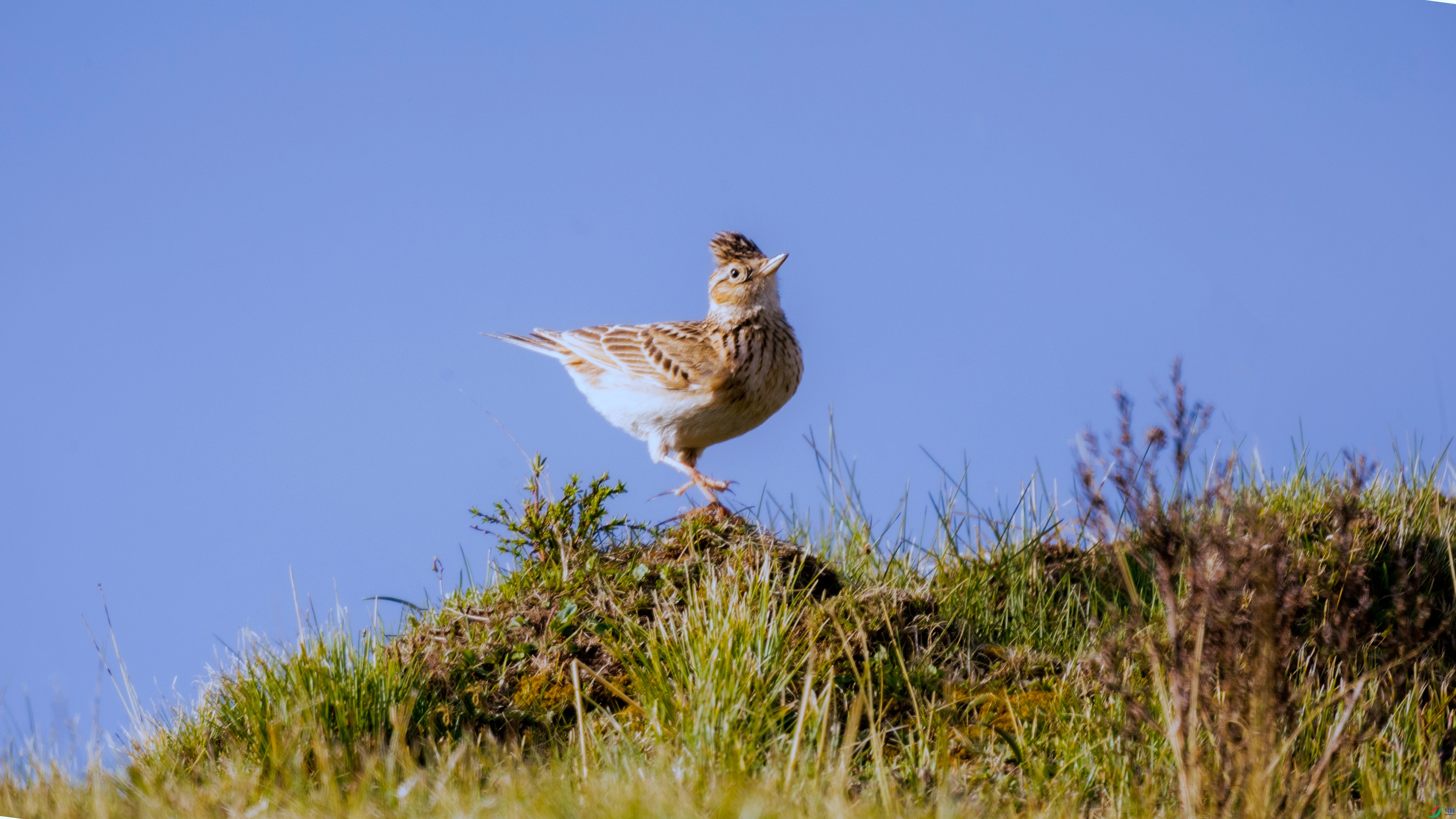 7X5A2434 - ����_����.jpg