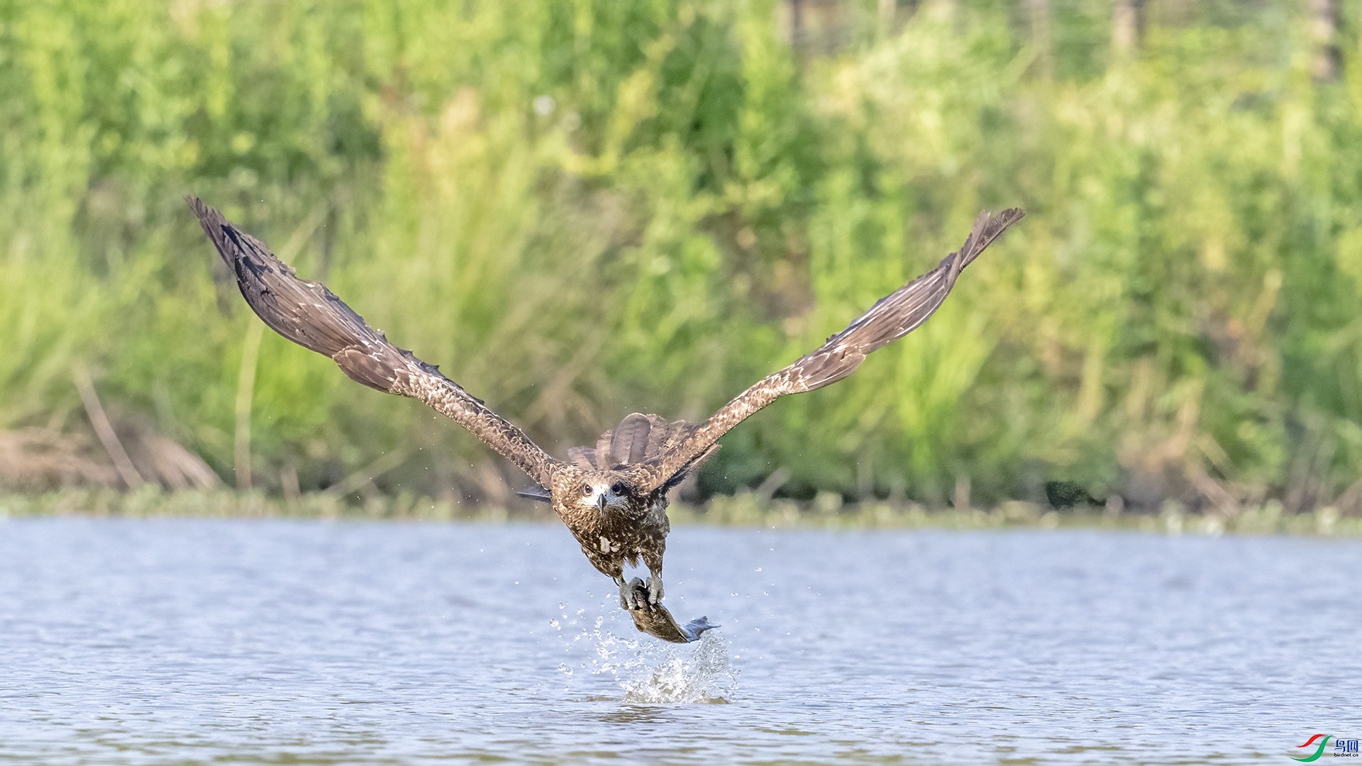 DSC_4760 ����.jpg