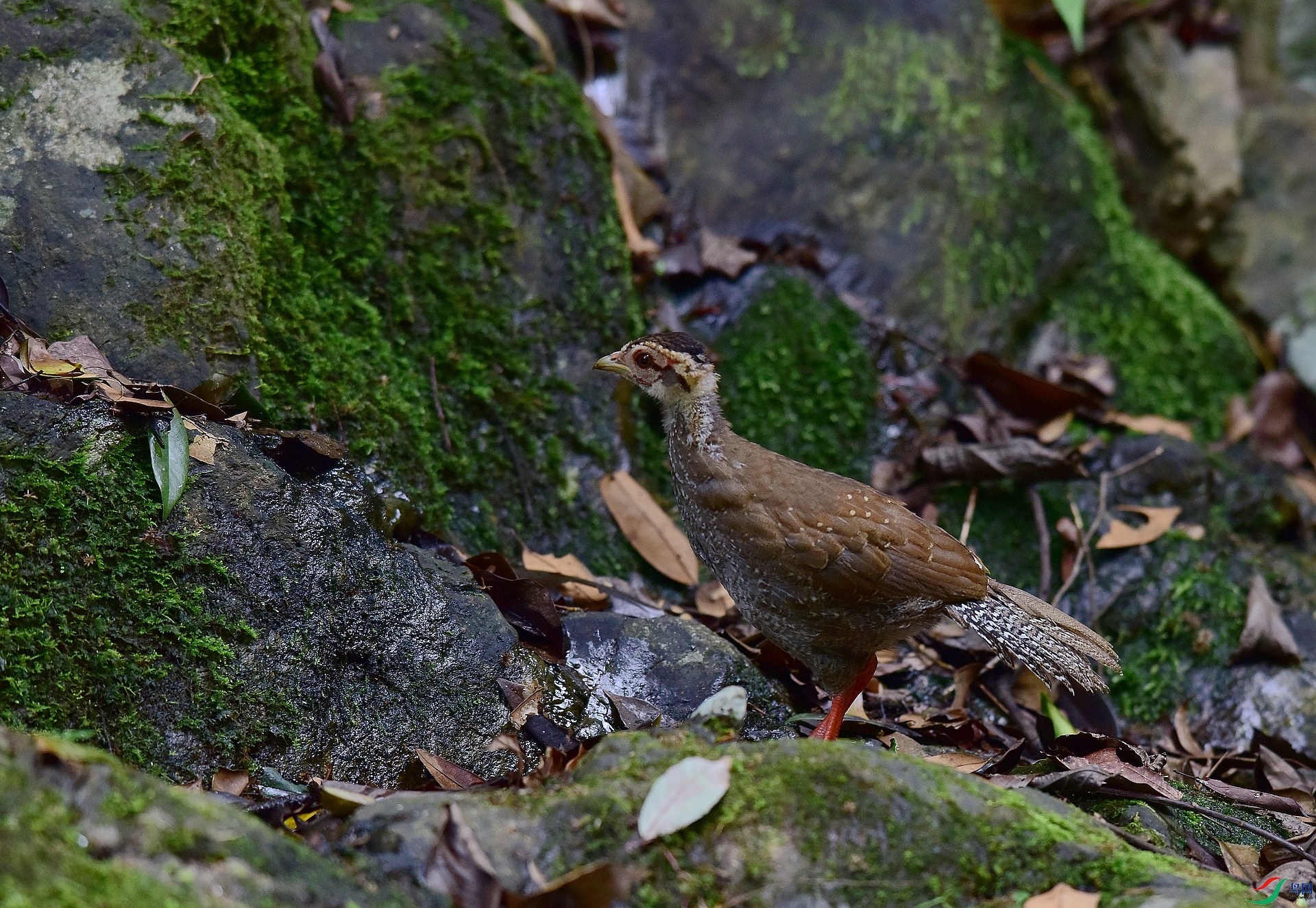 D8I_0575.jpg