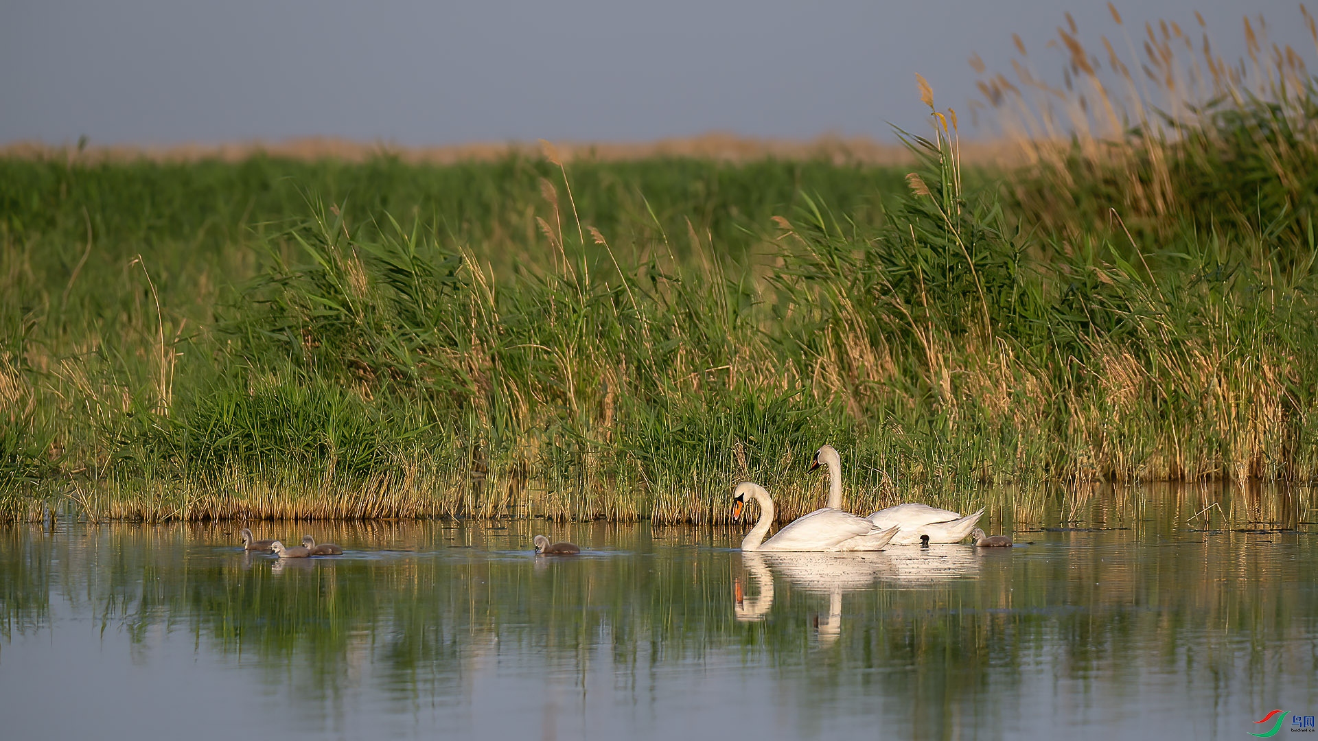 DSC_1580.jpg