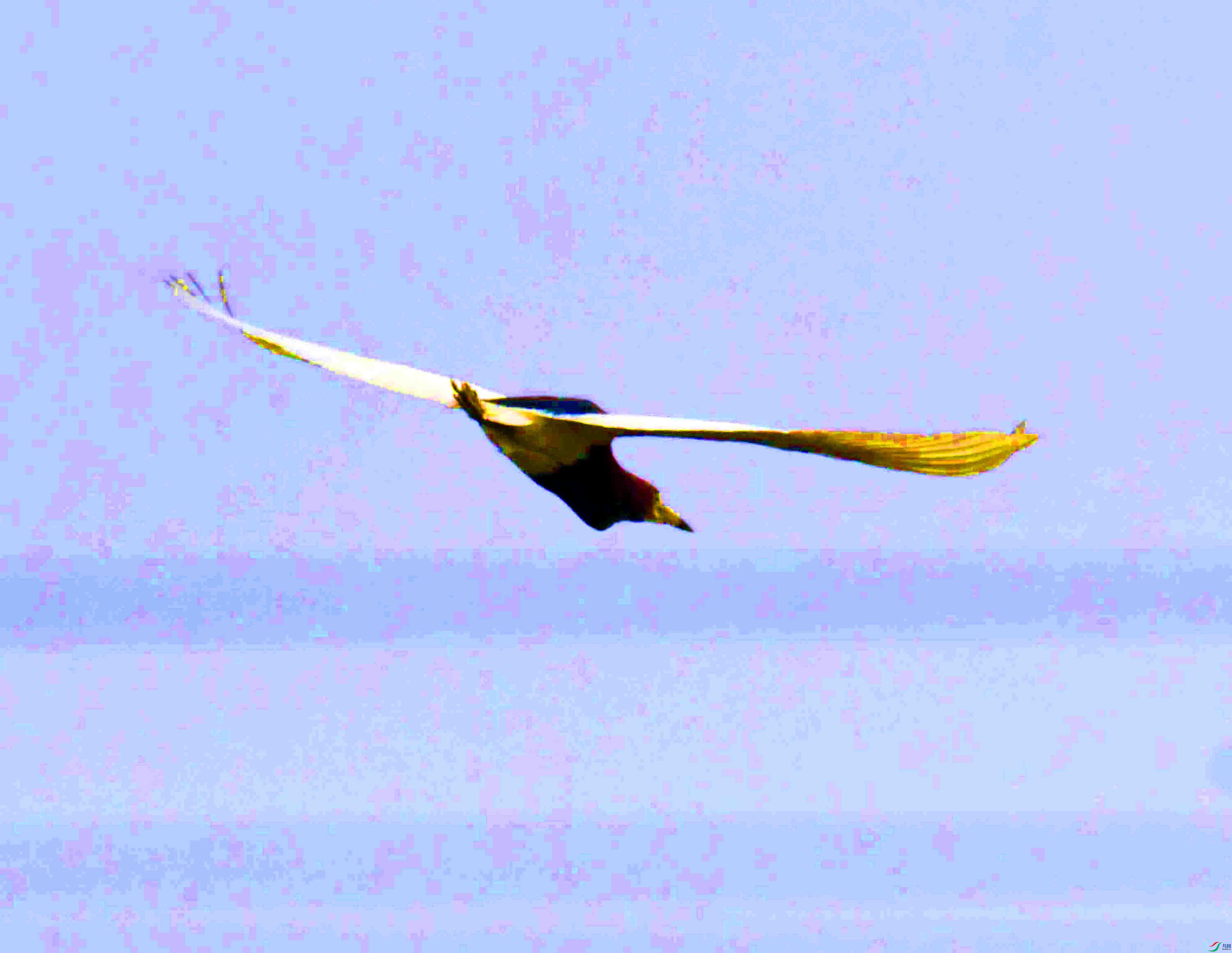 DSC_3919.JPG
