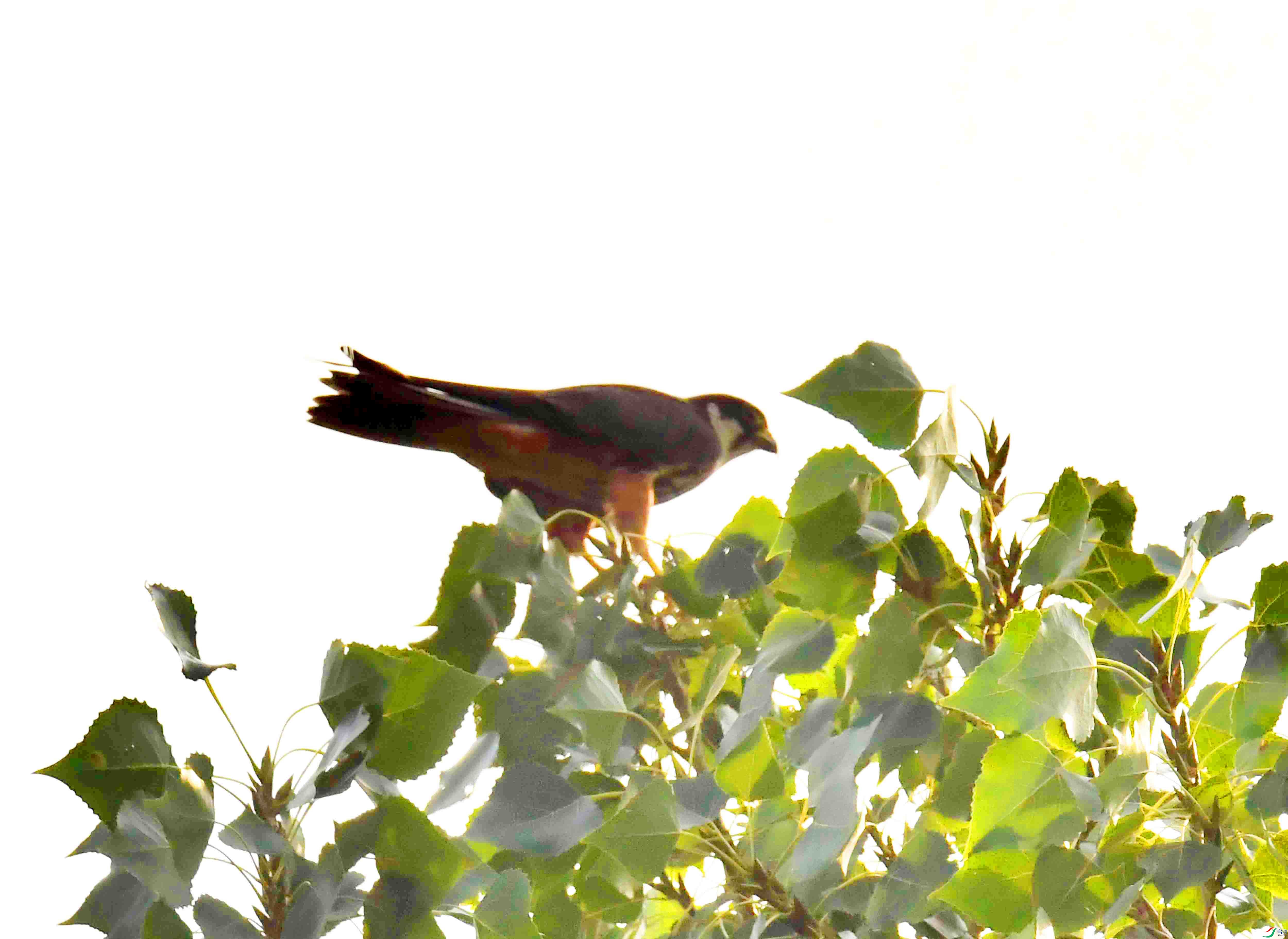 DSC_5182.JPG