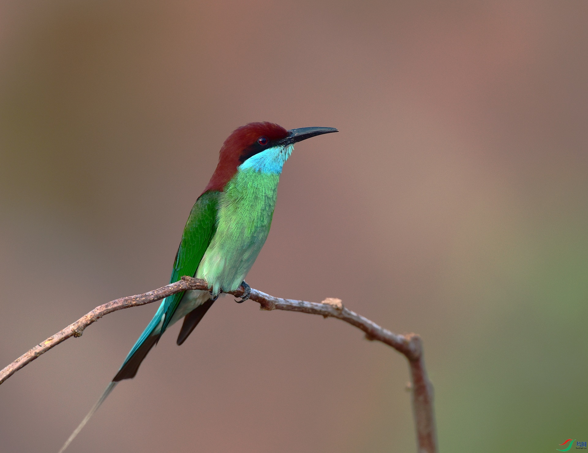 D8I_2388.jpg