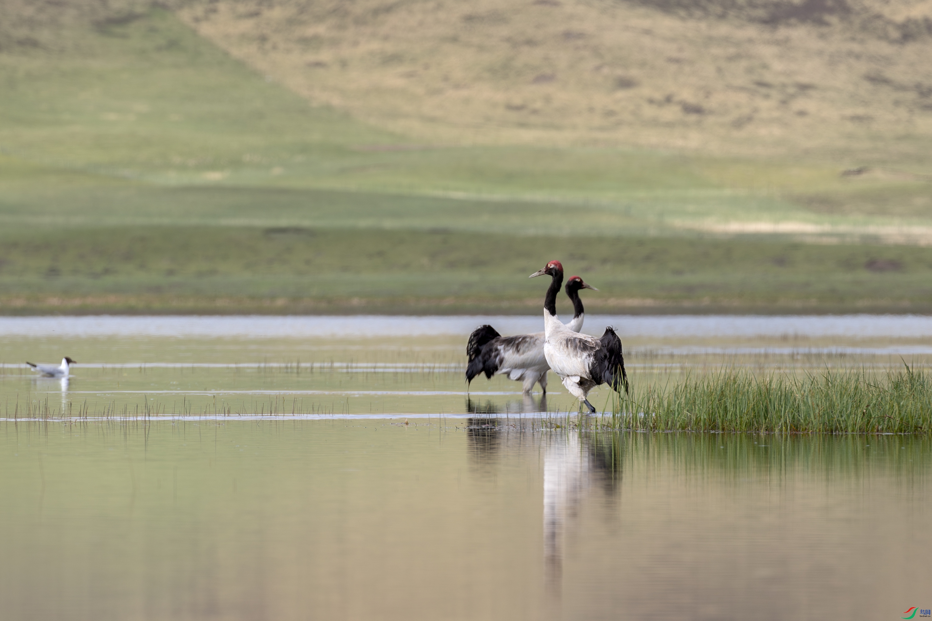 A15I2202- ����.jpg