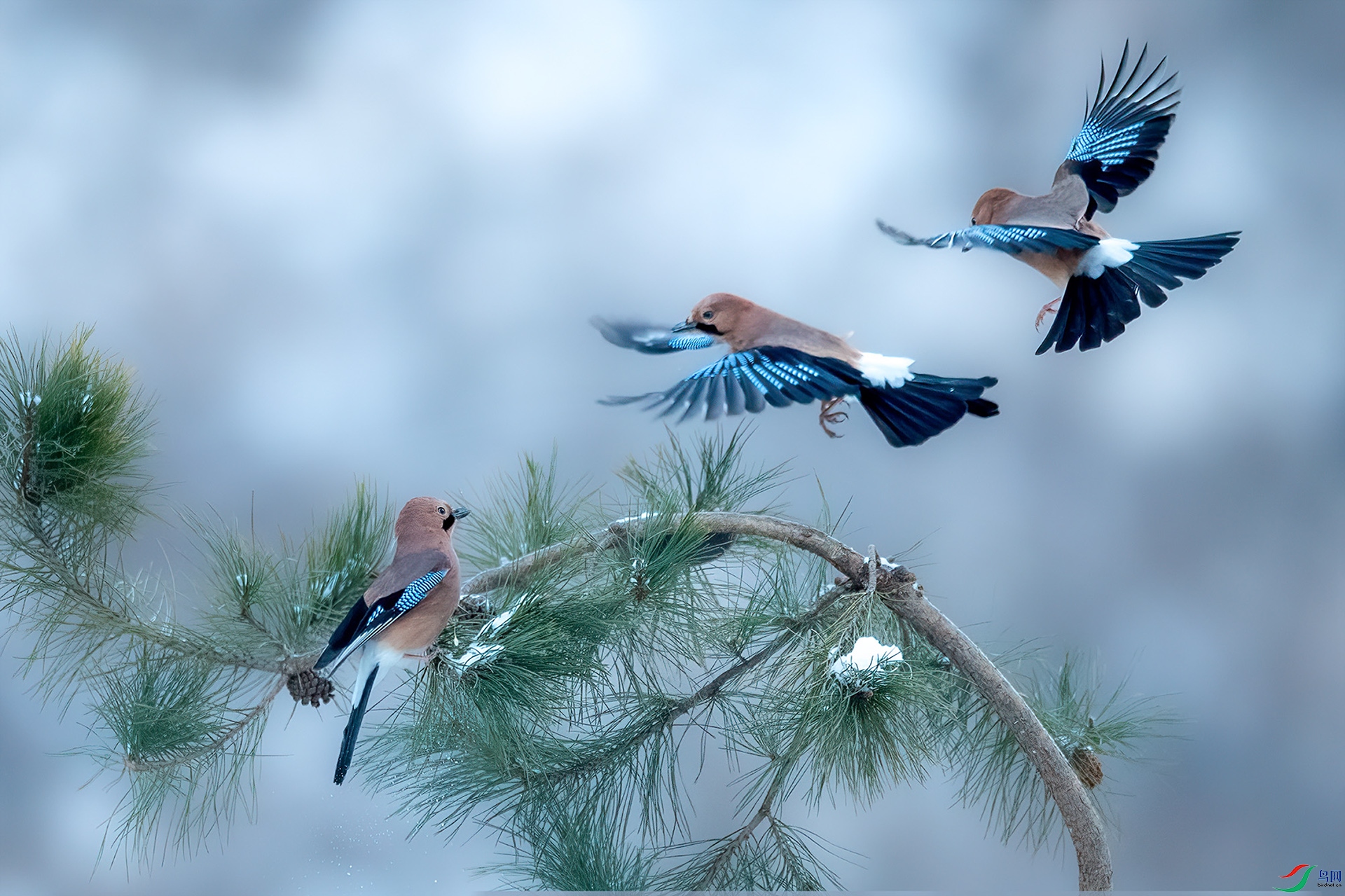 _A4I0027 -x����.jpg